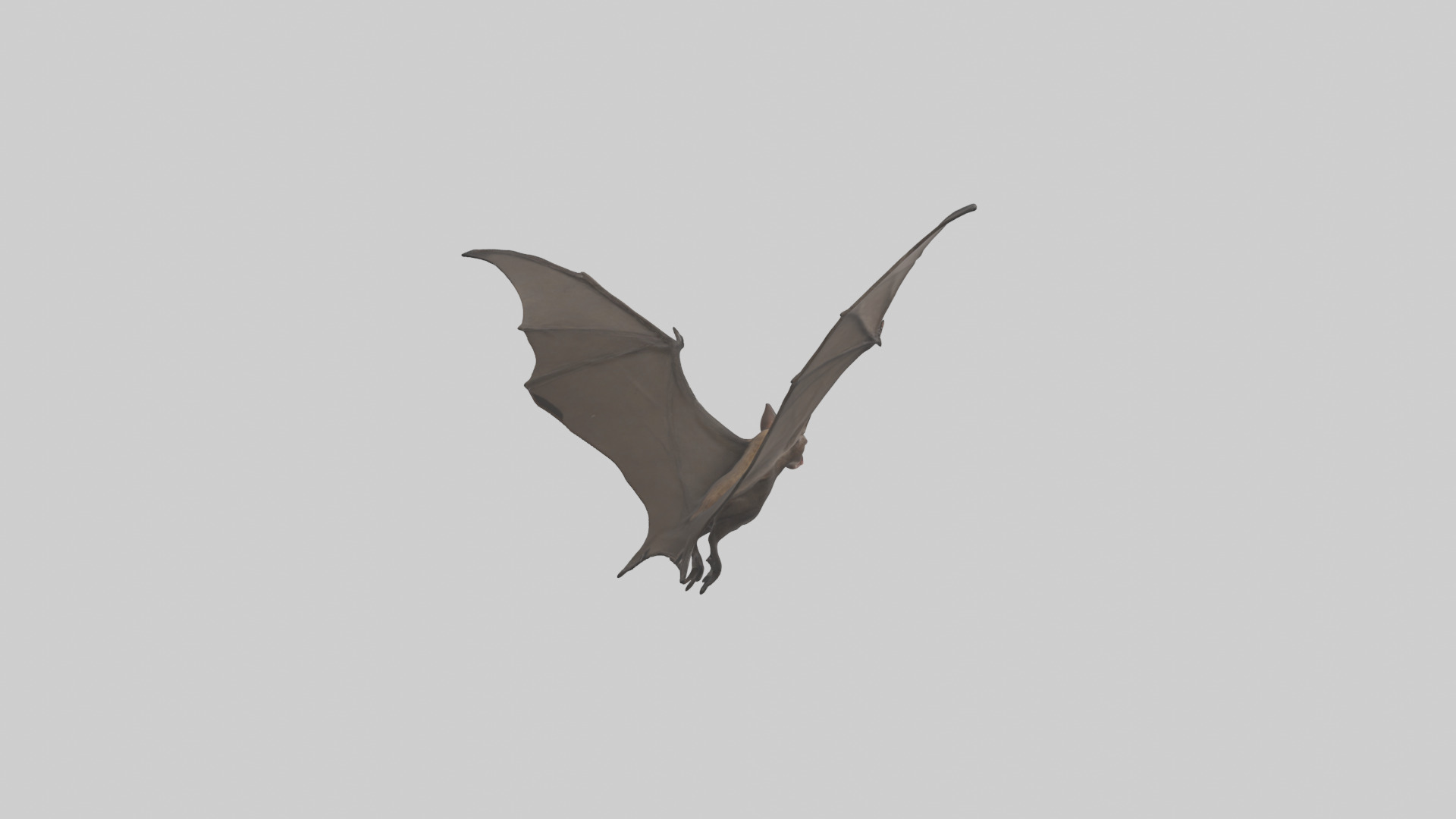 Fishing Bat flying model Low-poly 3D model_4