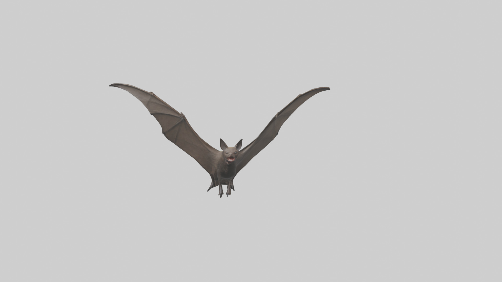 Fishing Bat flying model Low-poly 3D model_18
