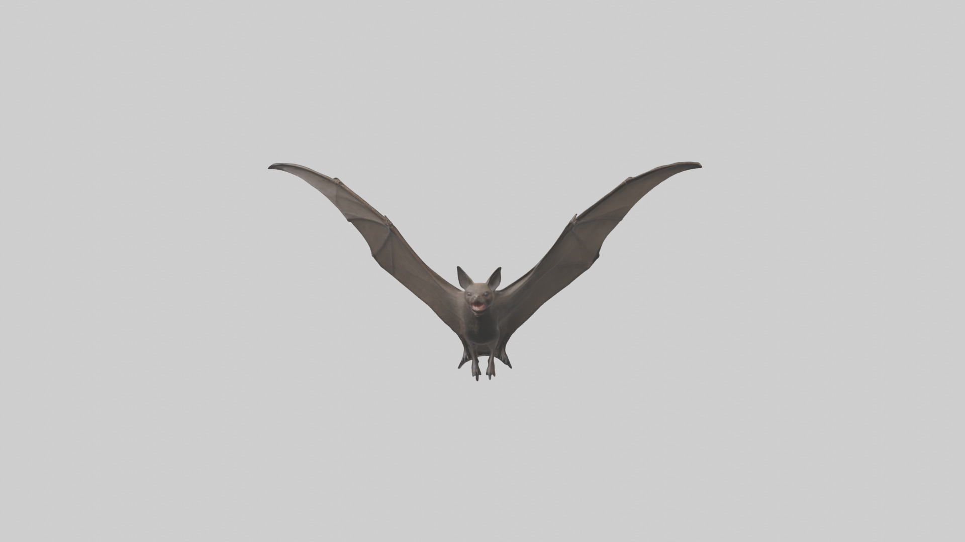 Fishing Bat flying model Low-poly 3D model_1