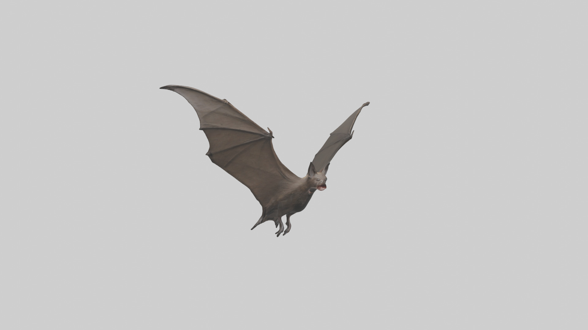 Fishing Bat flying model Low-poly 3D model_16
