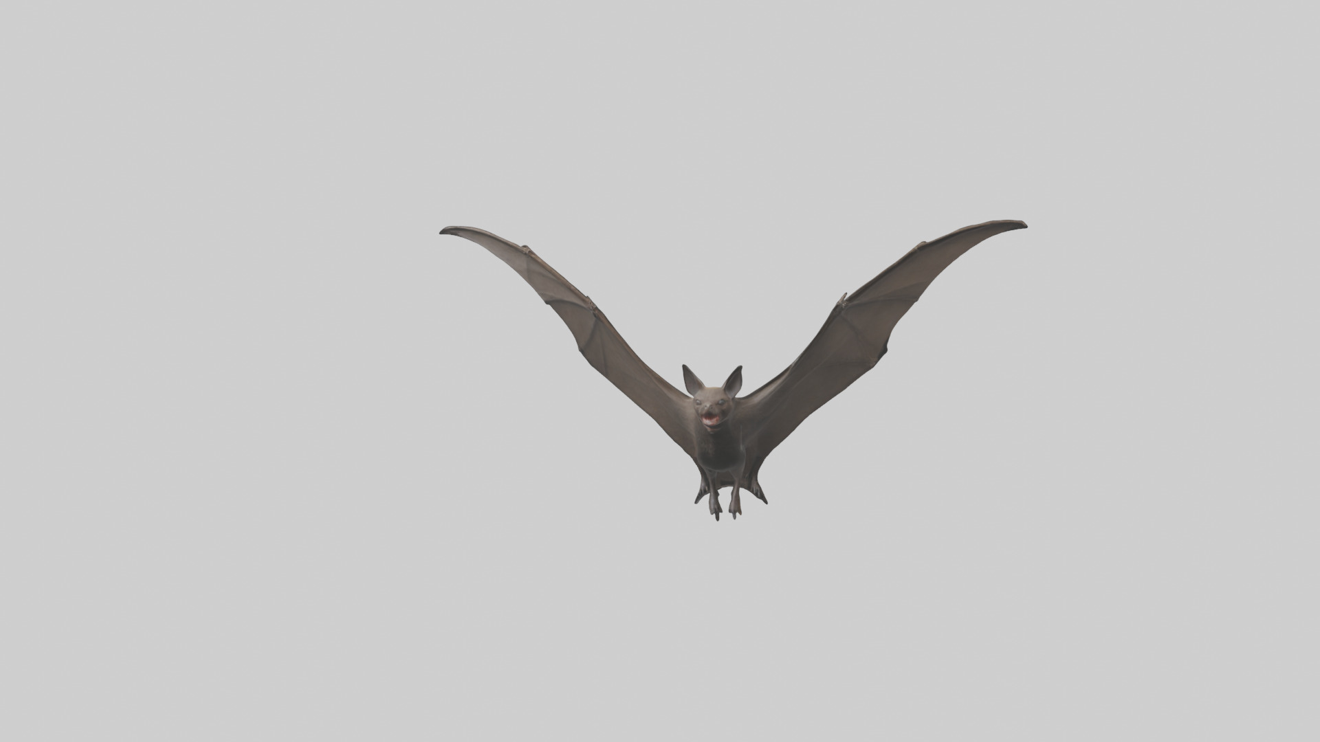 Fishing Bat flying model Low-poly 3D model_15