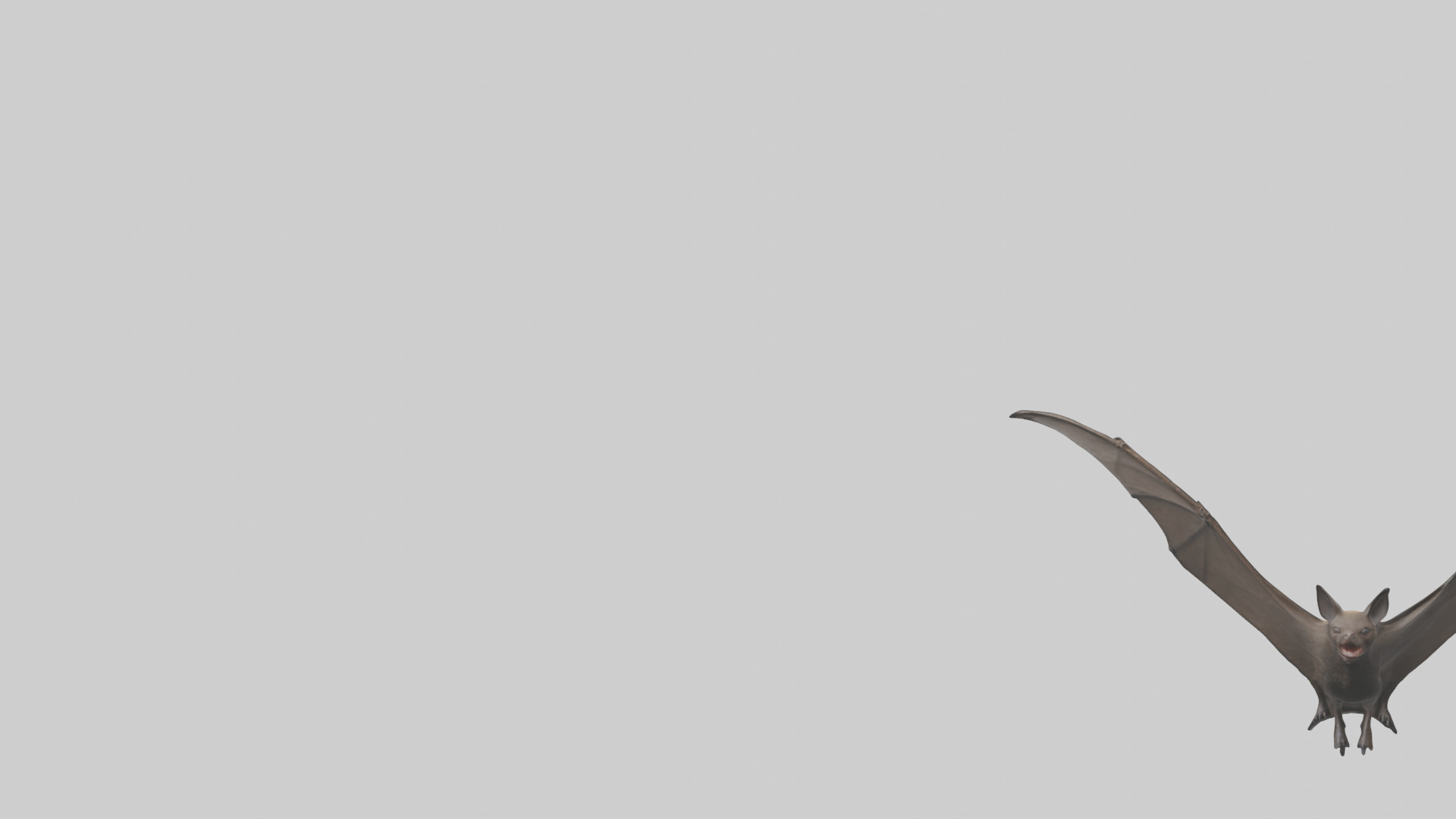 Fishing Bat flying model Low-poly 3D model_21