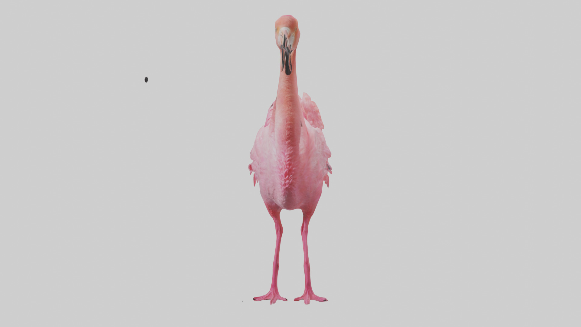 Flamingo Heart Low-poly 3D model_14