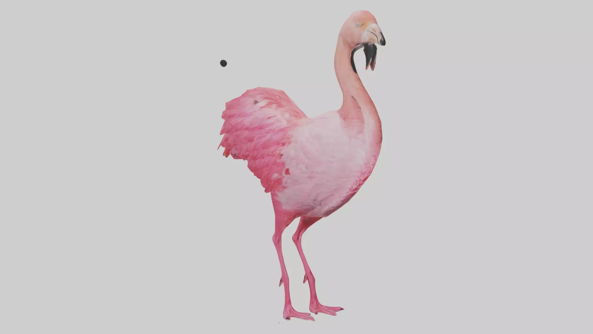 Flamingo Heart Low-poly 3D model_0