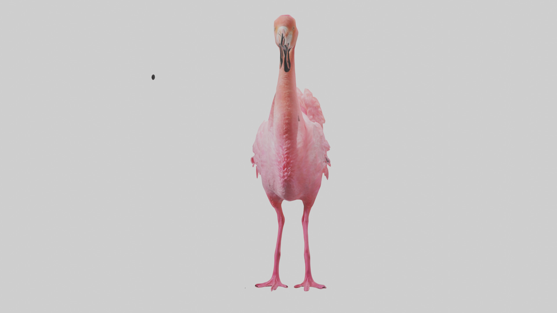 Flamingo Heart Low-poly 3D model_12