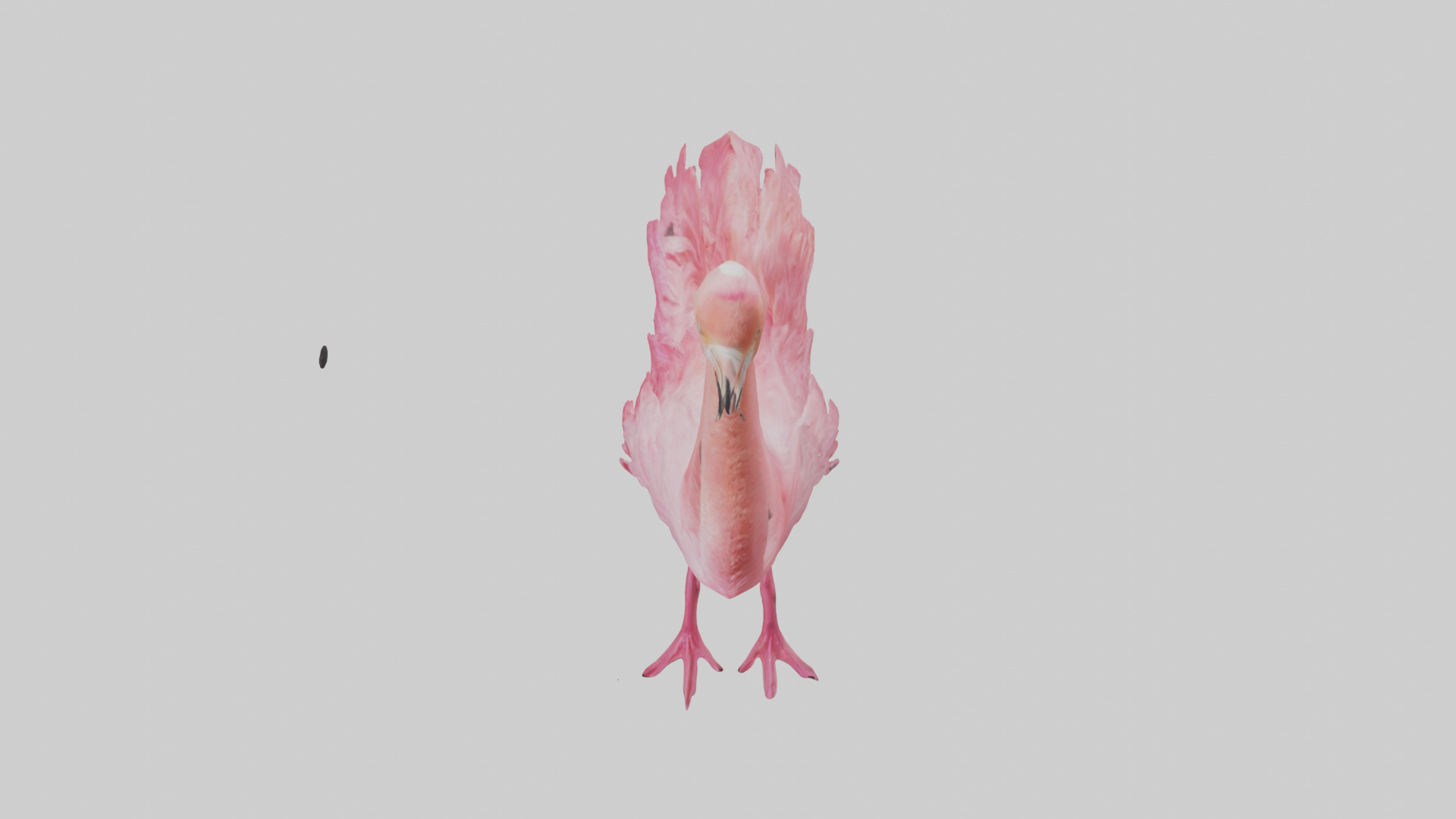 Flamingo Heart Low-poly 3D model_26