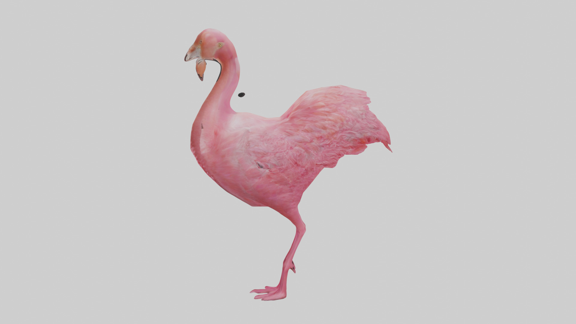 Flamingo Heart Low-poly 3D model_22