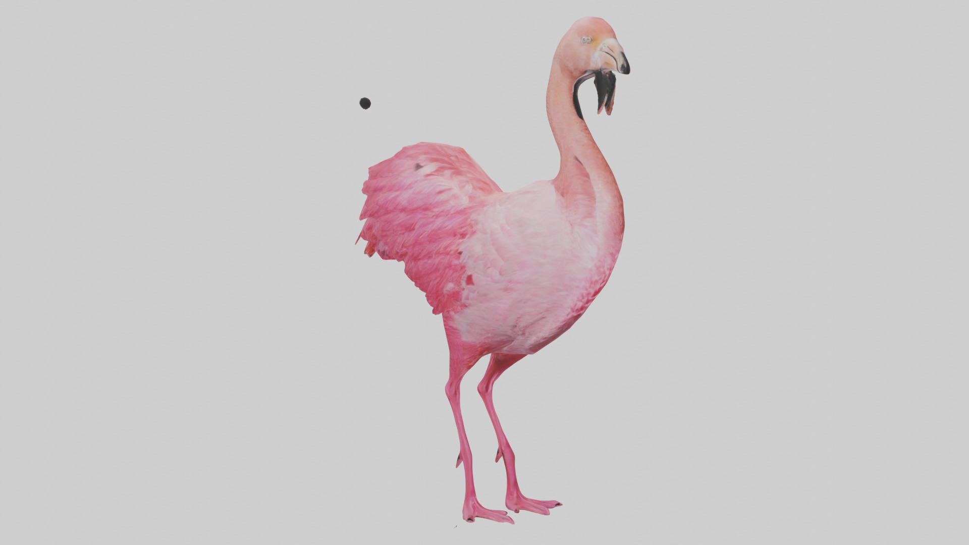 Flamingo Heart Low-poly 3D model_16