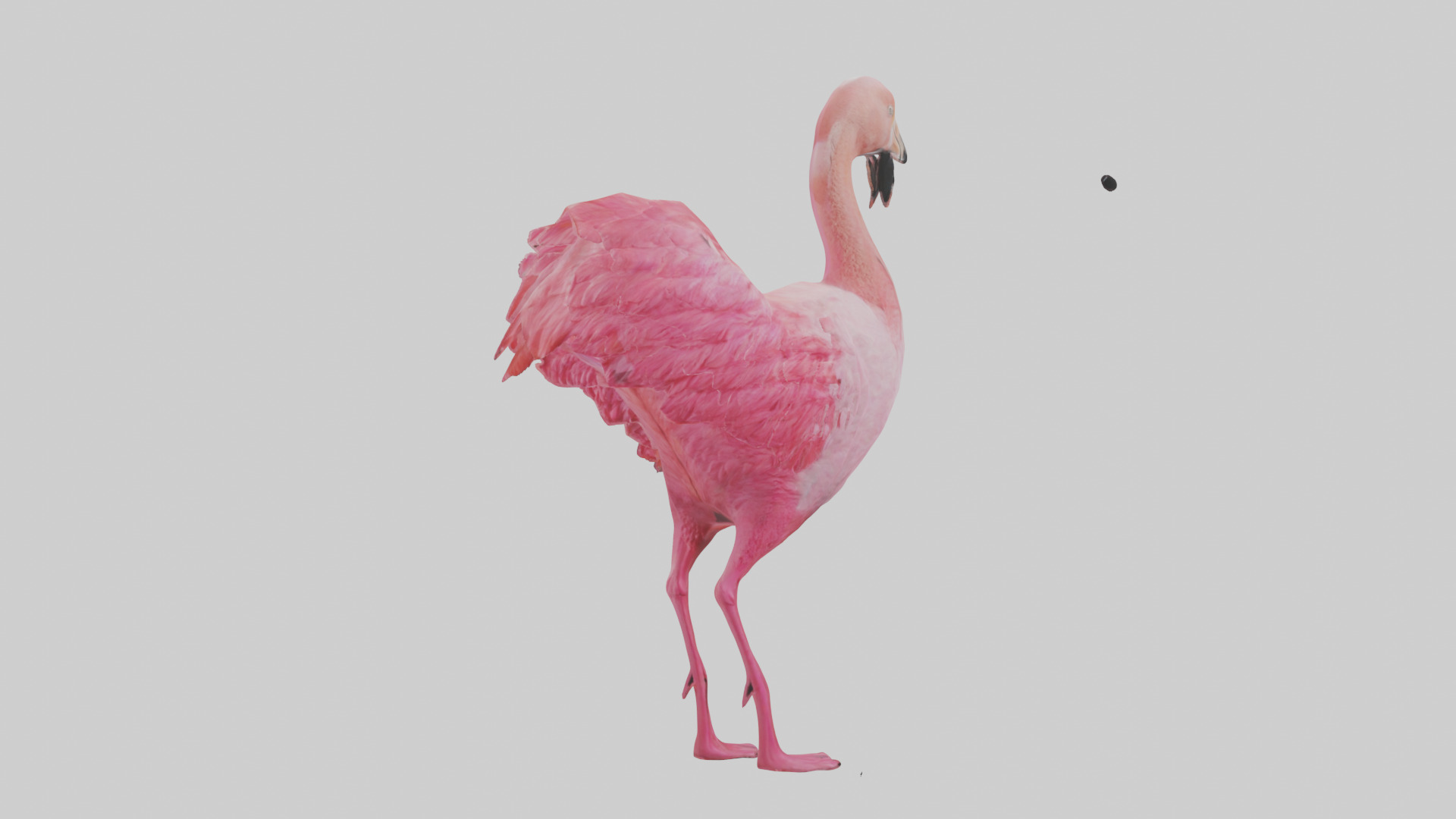 Flamingo Heart Low-poly 3D model_3