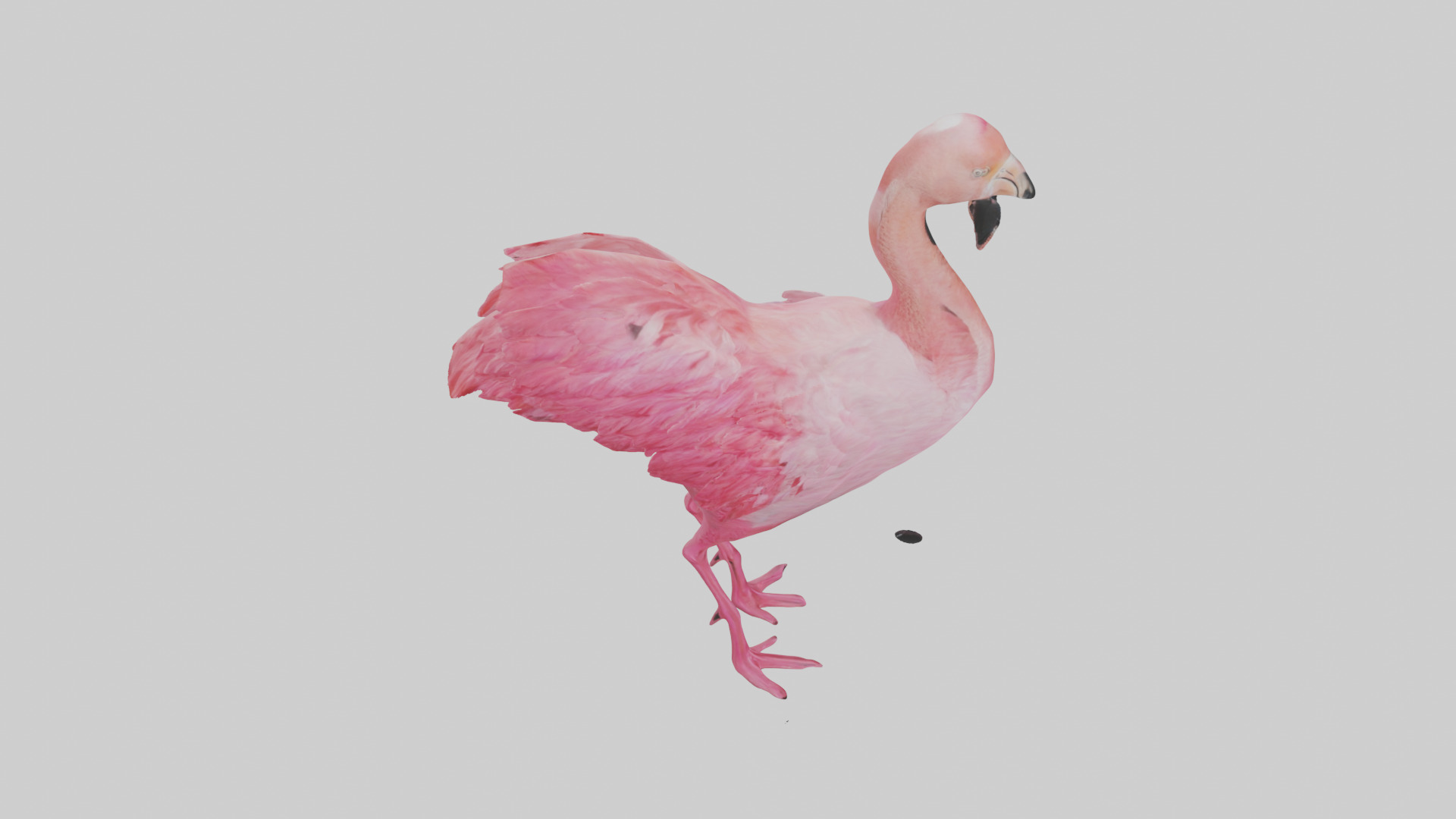 Flamingo Heart Low-poly 3D model_28