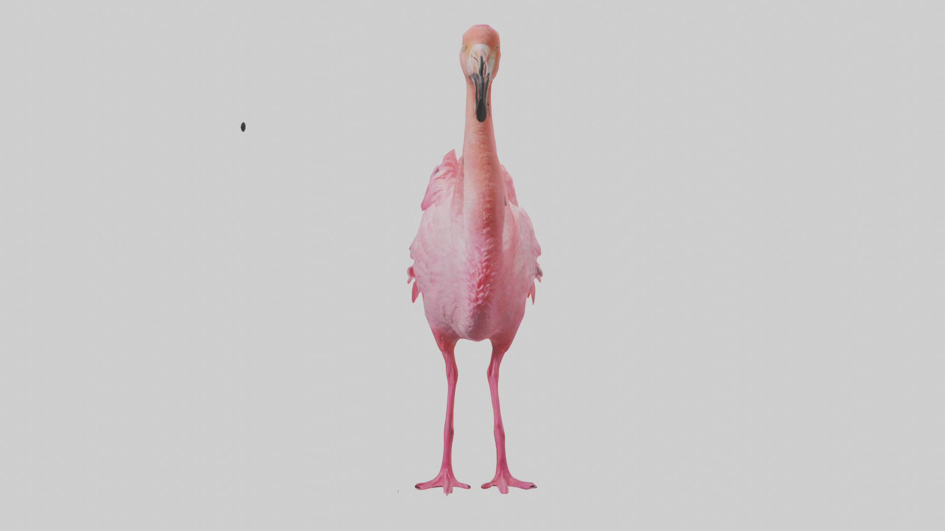 Flamingo Heart Low-poly 3D model_19
