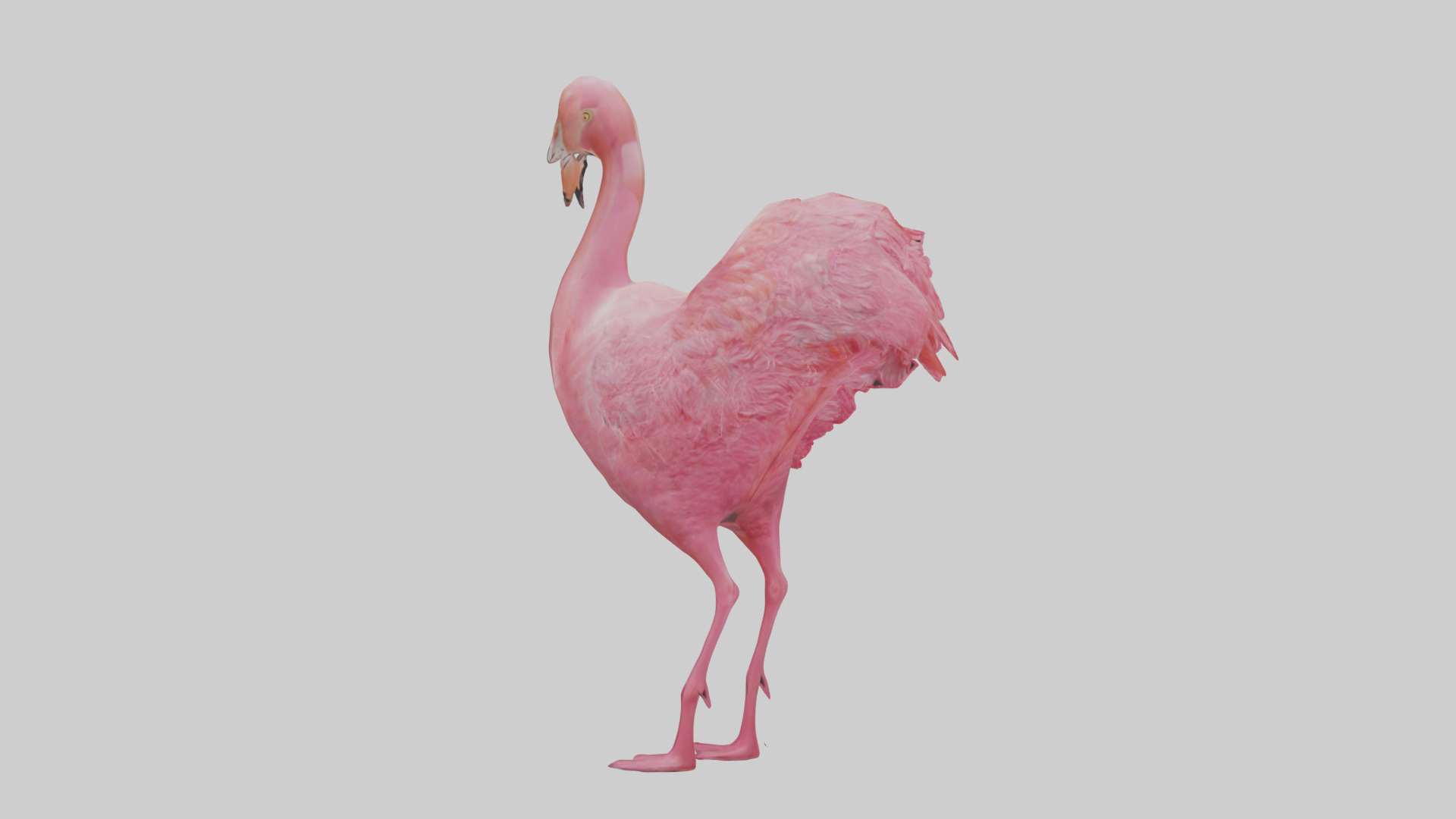 Flamingo Heart Low-poly 3D model_2