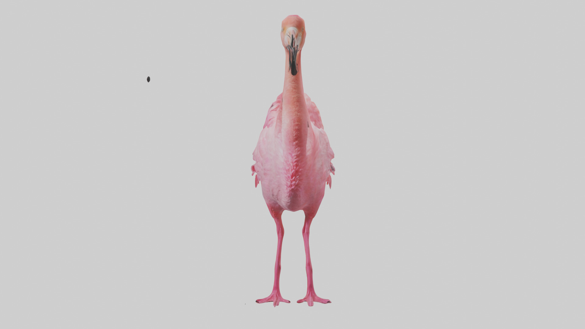 Flamingo Heart Low-poly 3D model_10
