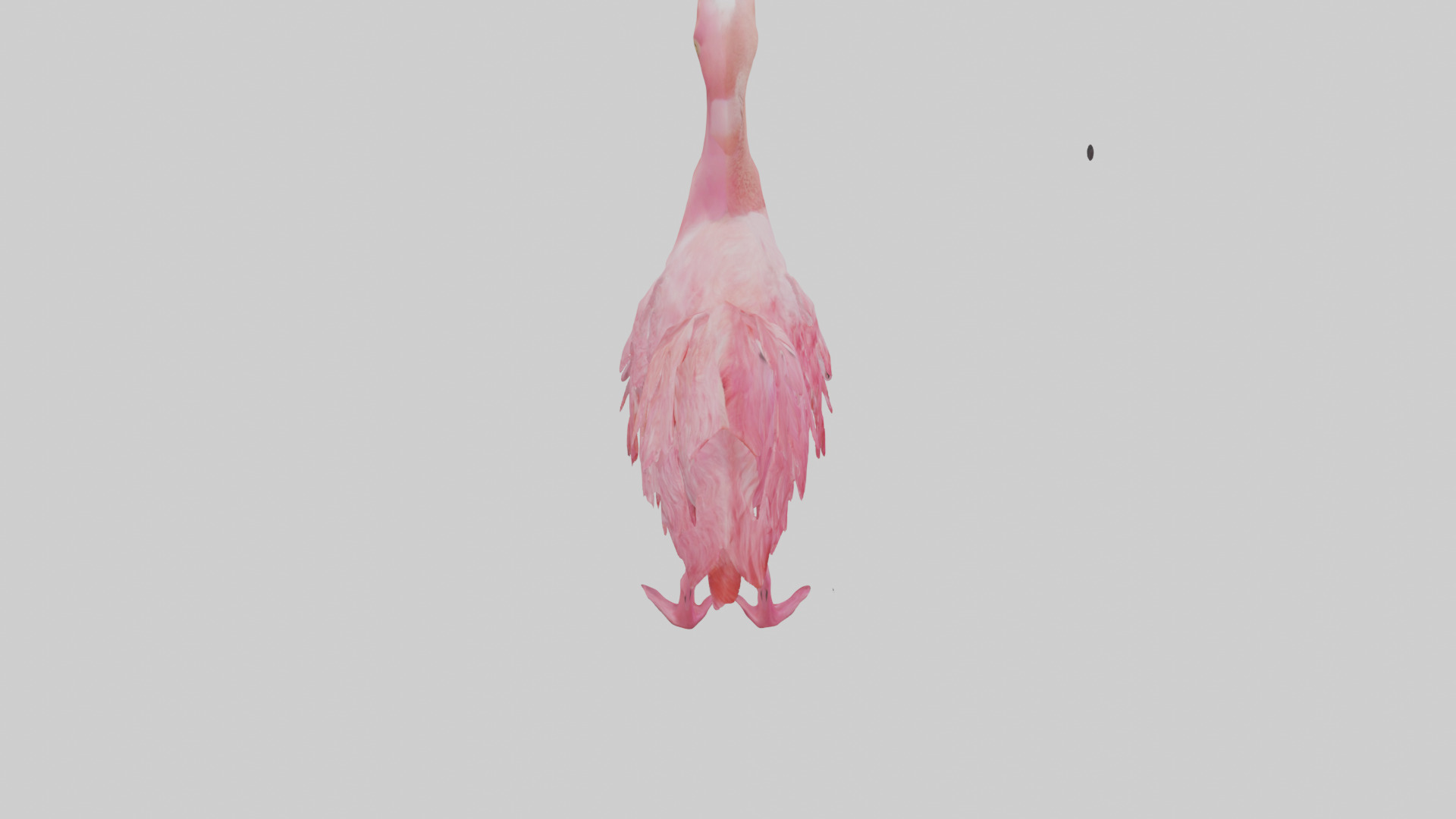 Flamingo Heart Low-poly 3D model_25