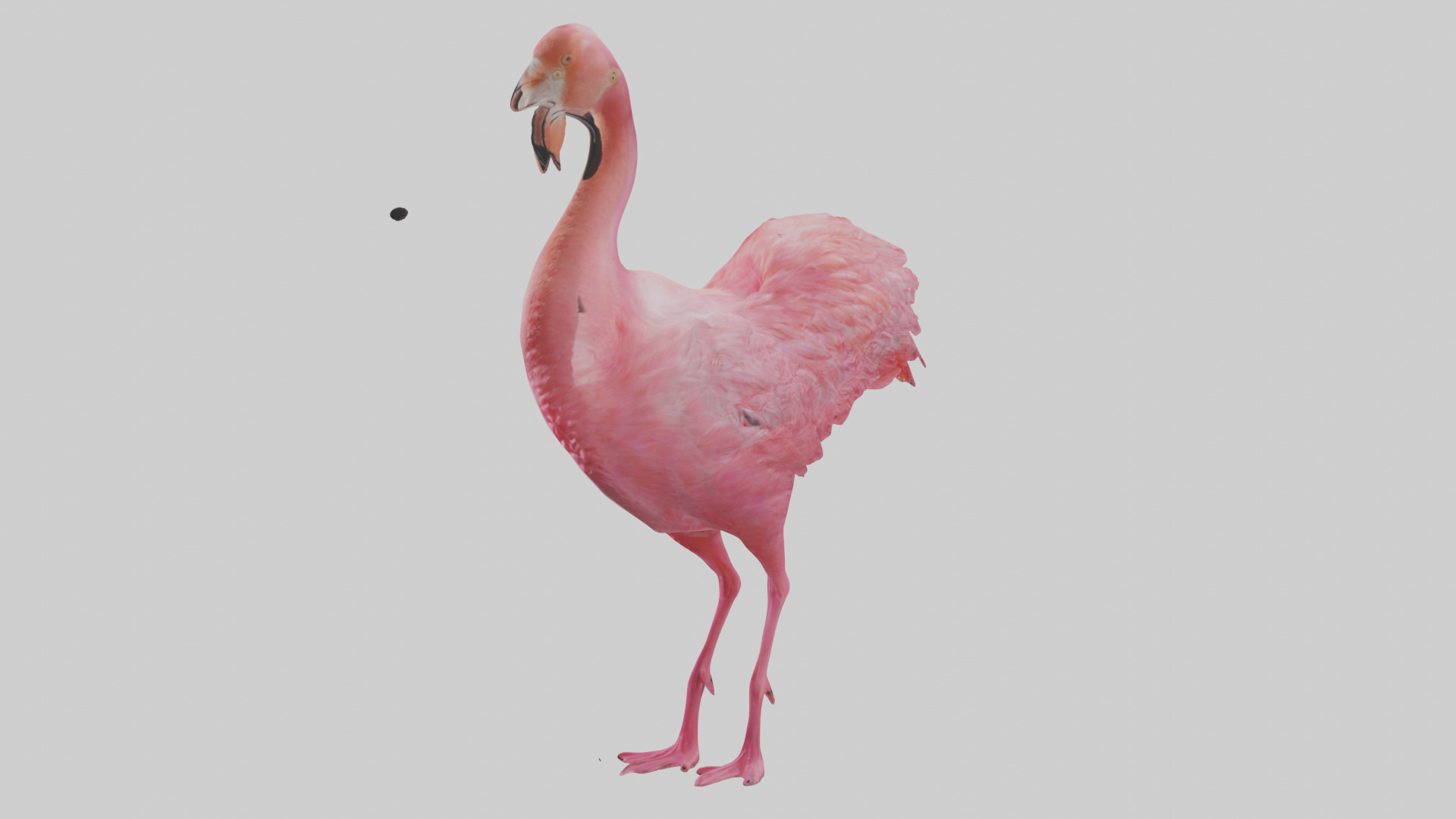 Flamingo Heart Low-poly 3D model_11