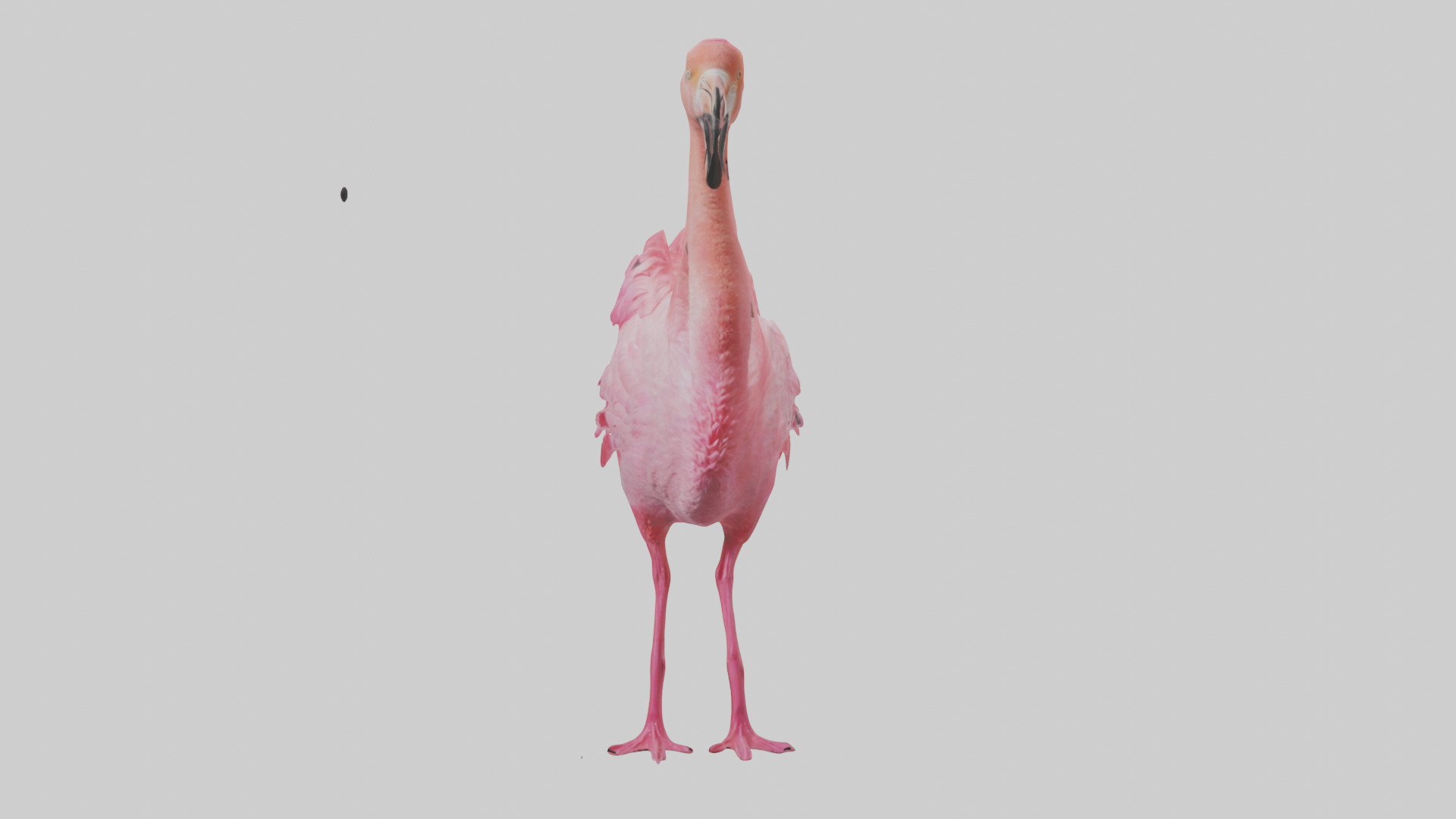 Flamingo Heart Low-poly 3D model_17