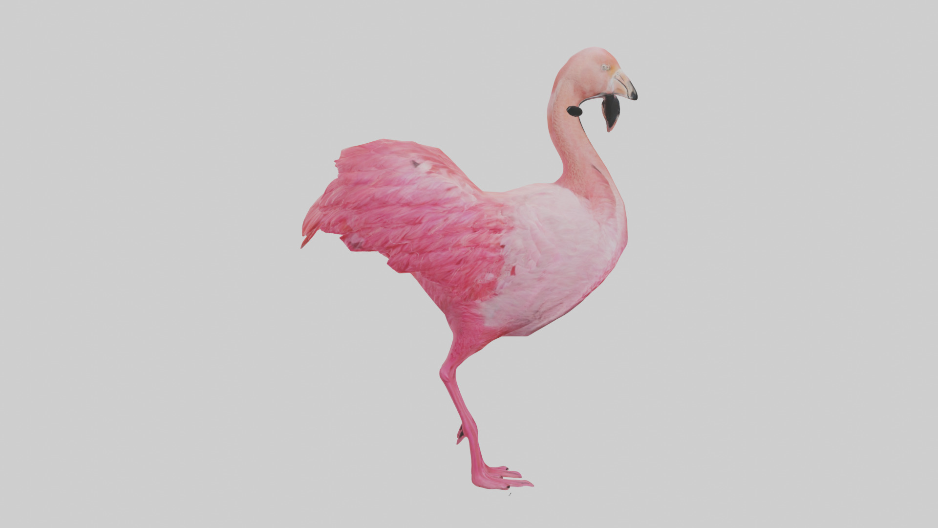 Flamingo Heart Low-poly 3D model_23
