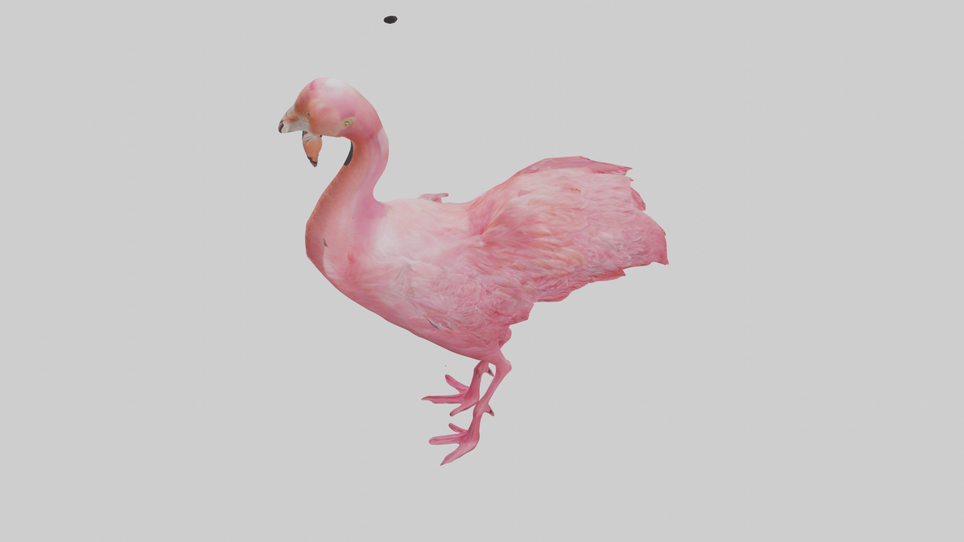 Flamingo Heart Low-poly 3D model_27