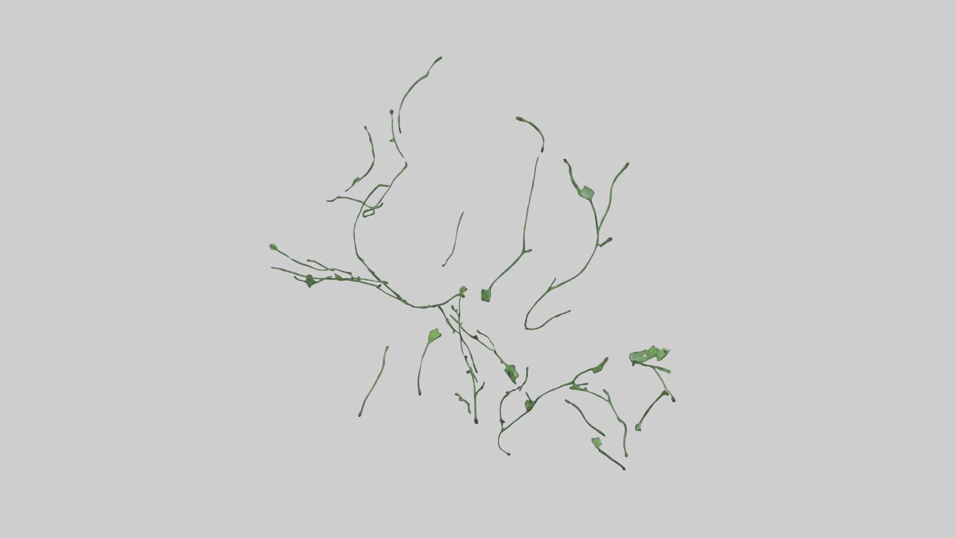 Floating Greenery statue model Low-poly 3D model_27