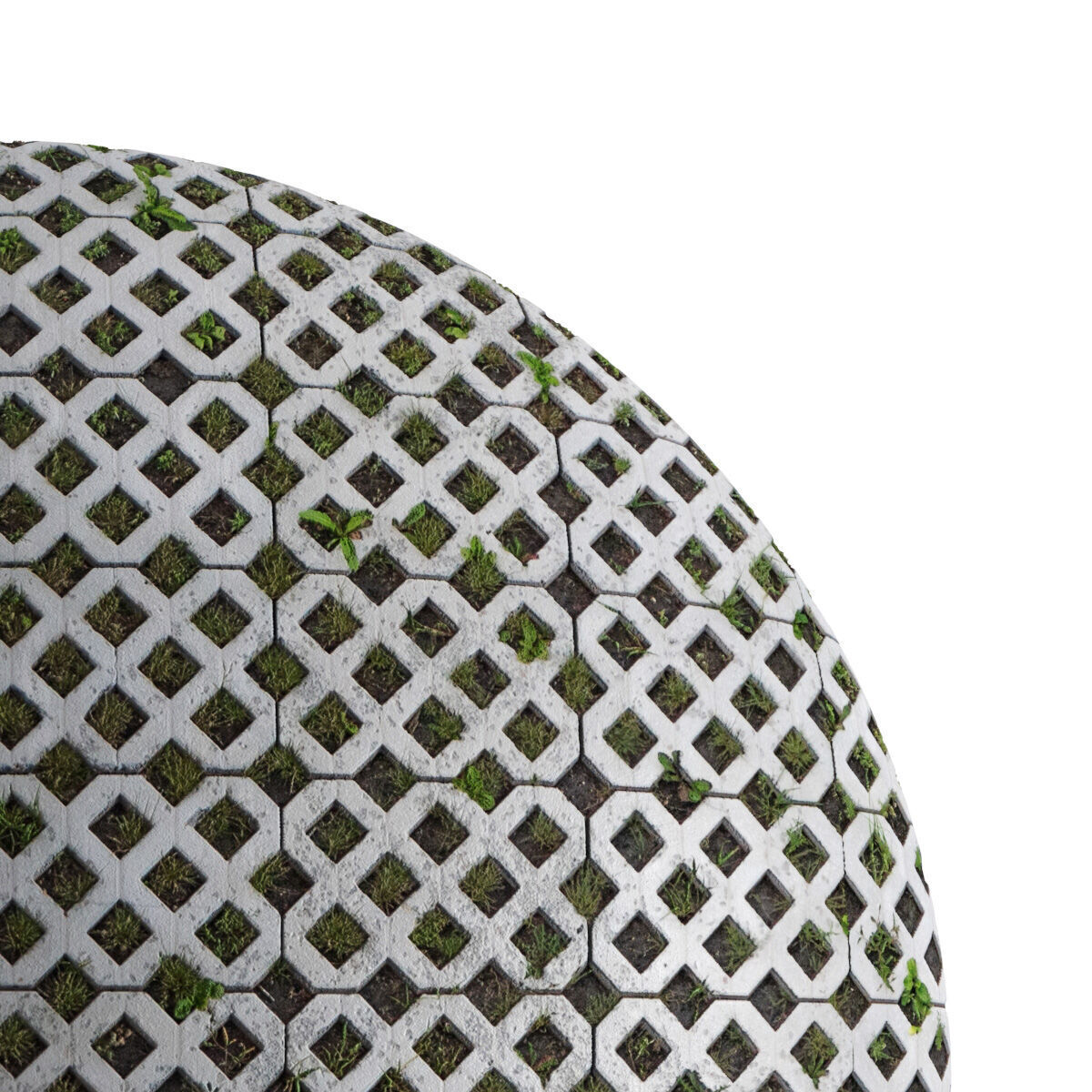 Seamless lawn parking material Texture_3