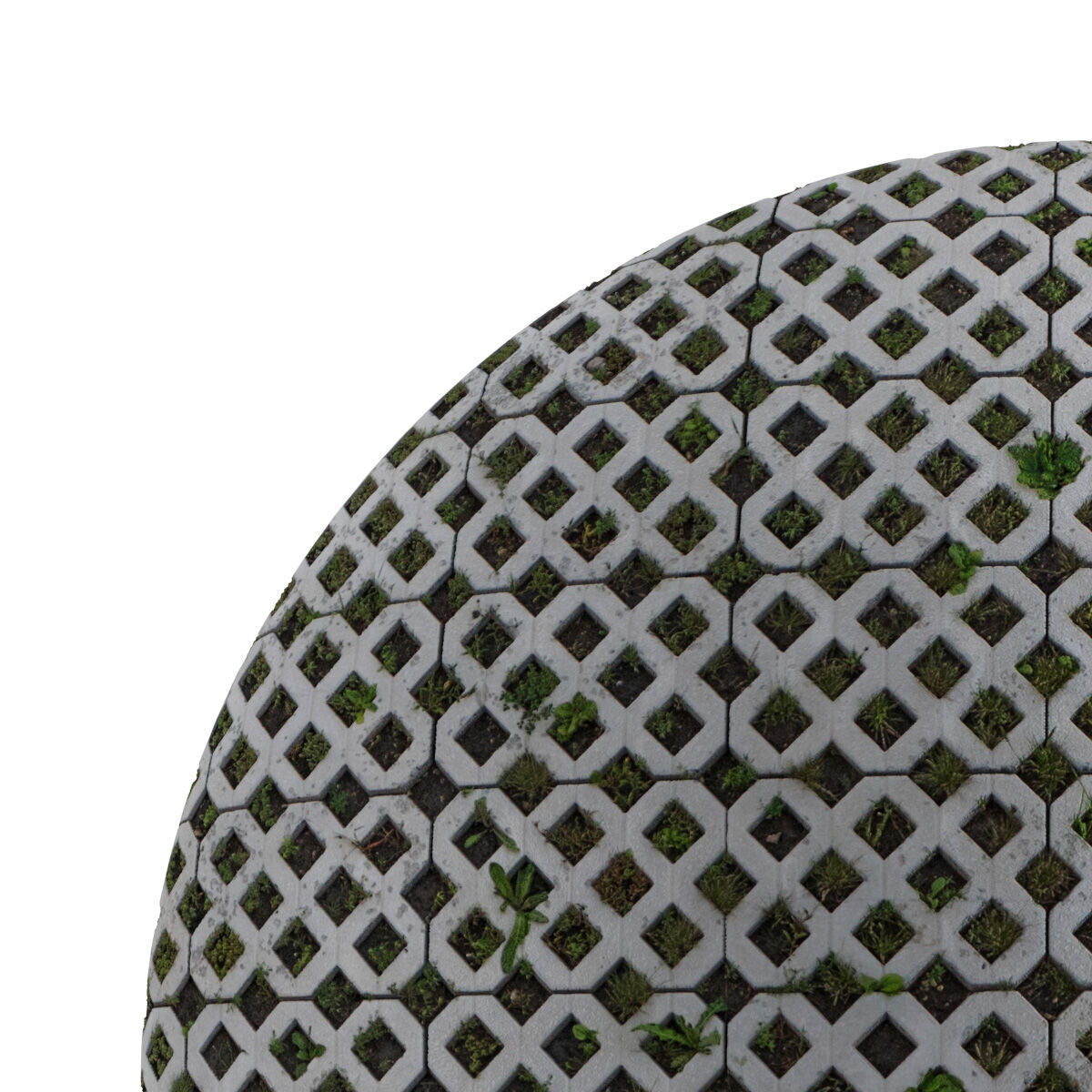 Seamless lawn parking material Texture_2