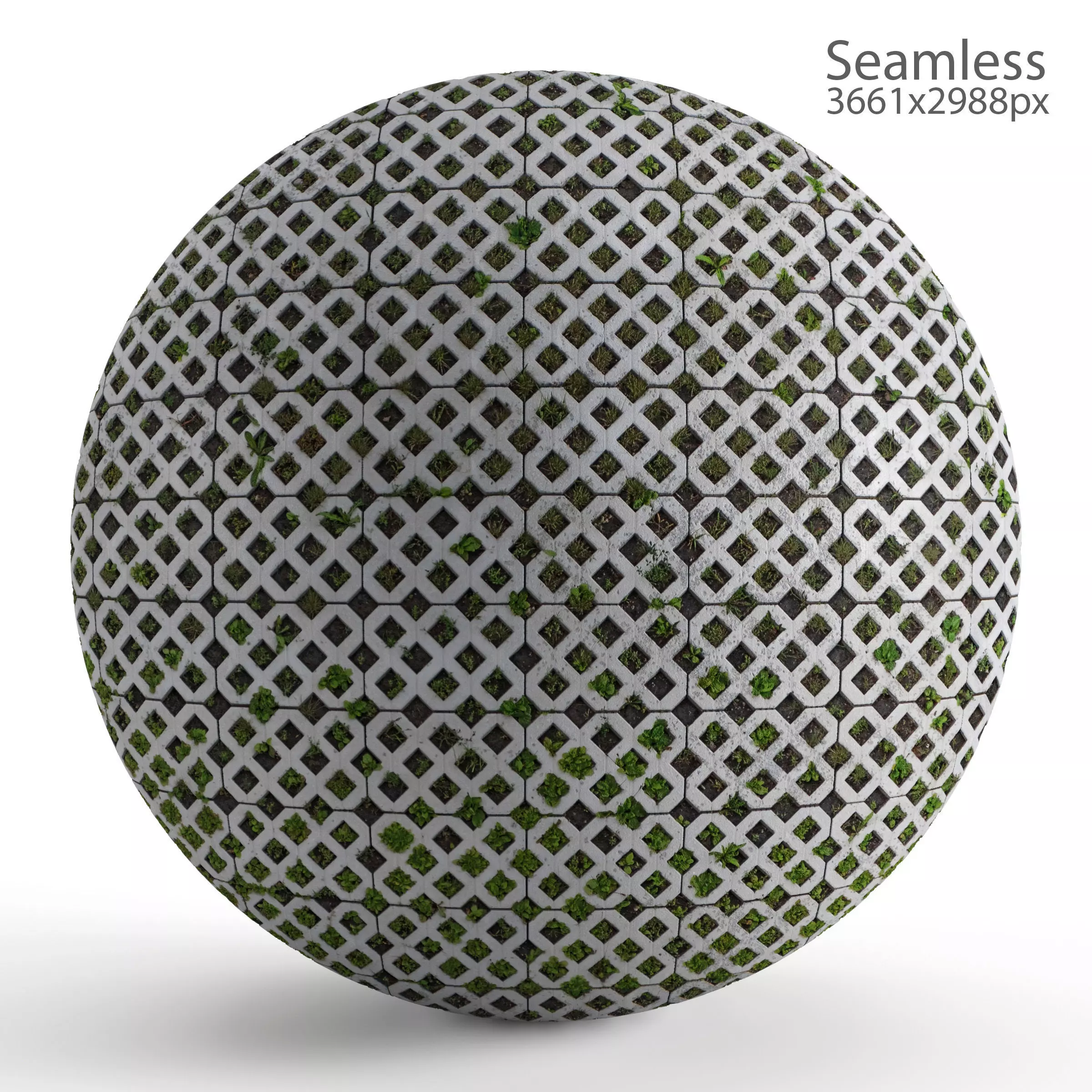 Seamless lawn parking material Texture_0