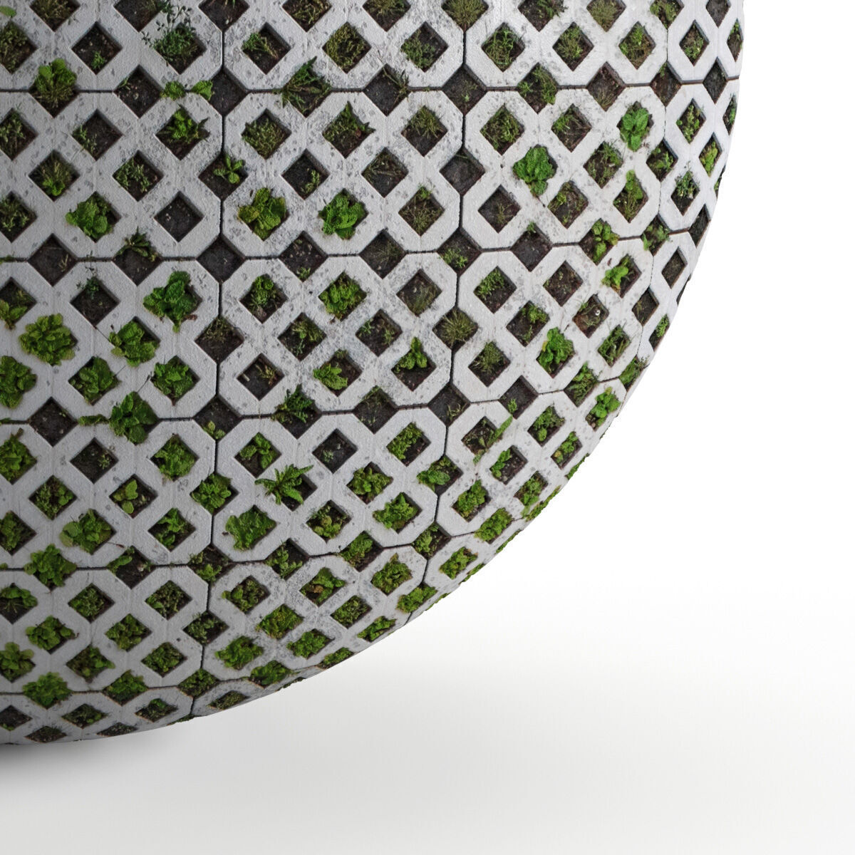 Seamless lawn parking material Texture_5