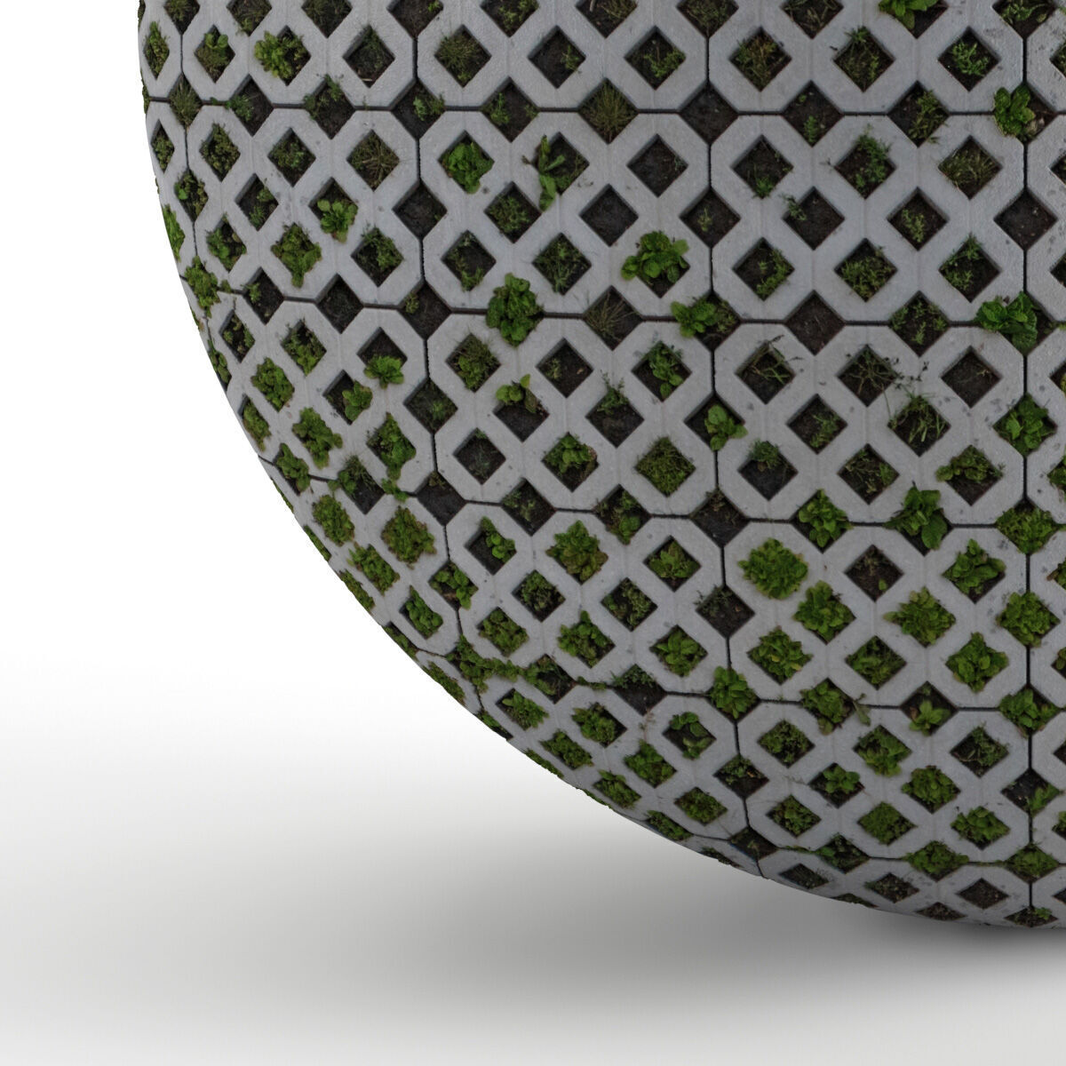 Seamless lawn parking material Texture_4