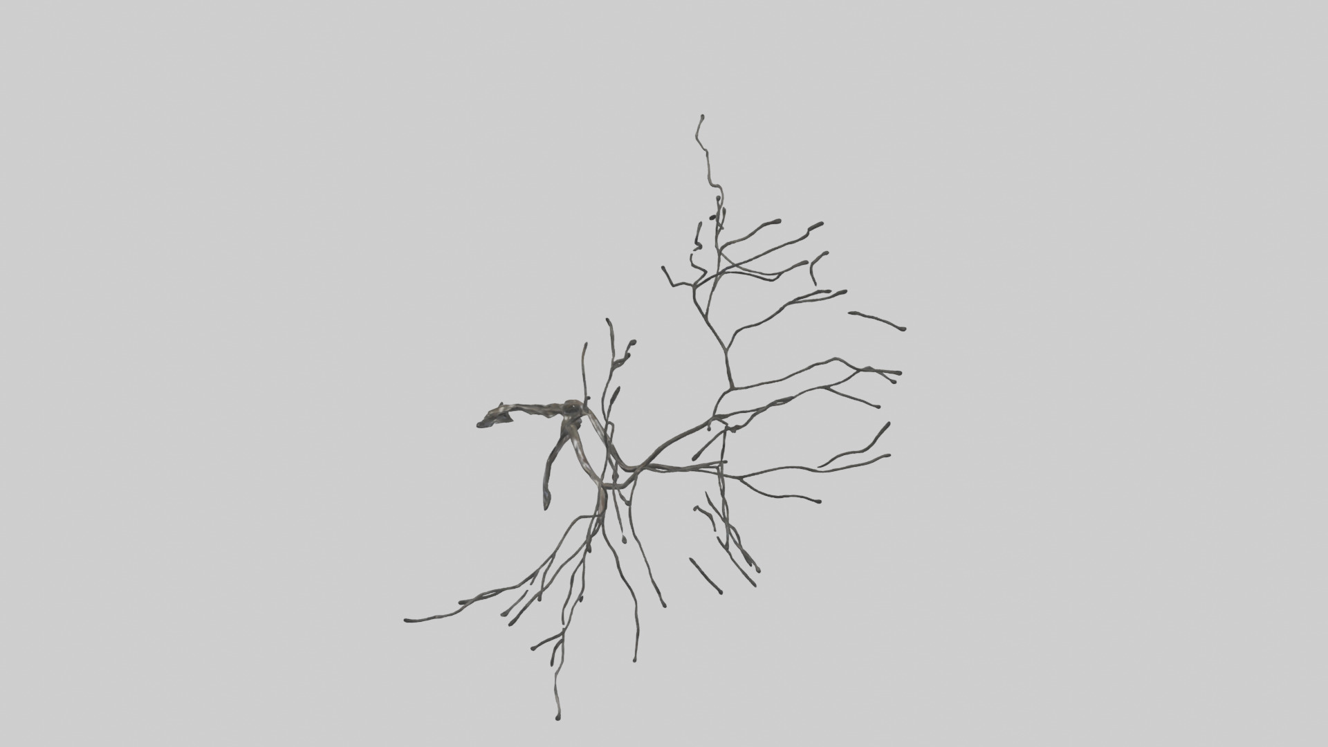 Fluid Branch Sculpture model Low-poly 3D model_17