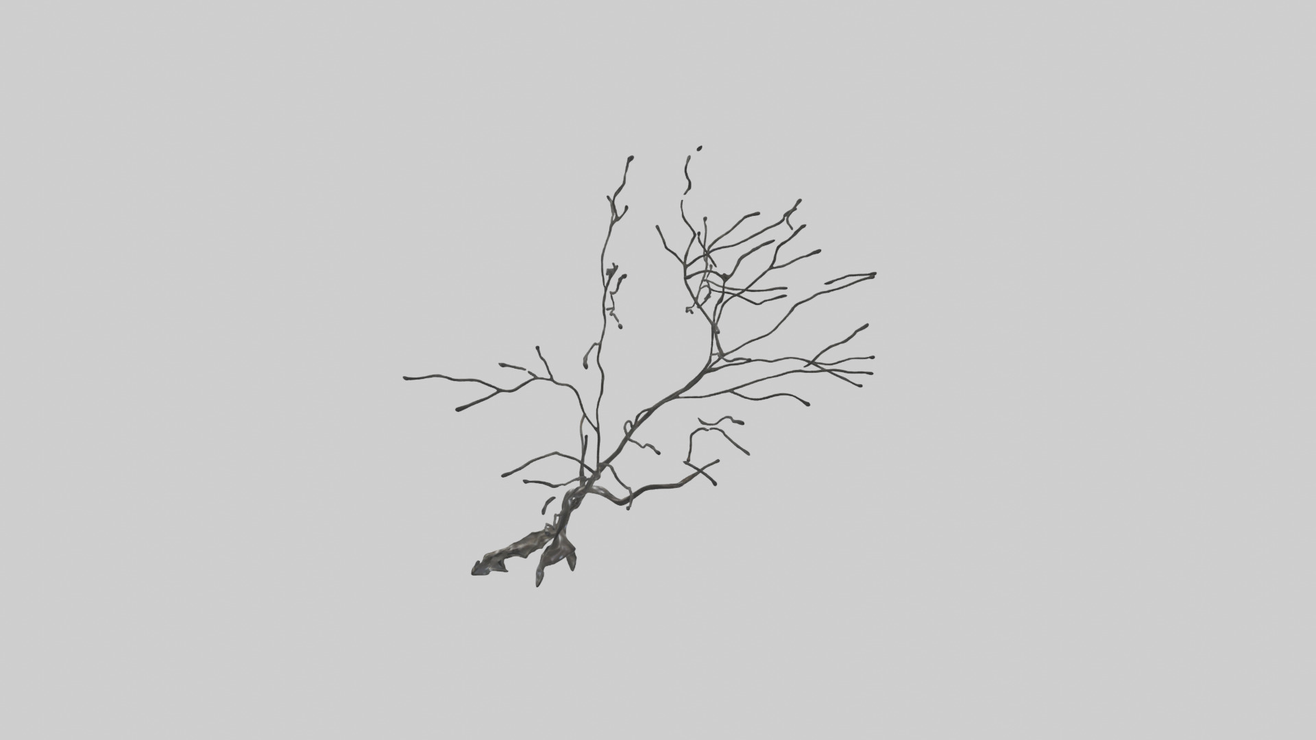 Fluid Branch Sculpture model Low-poly 3D model_12