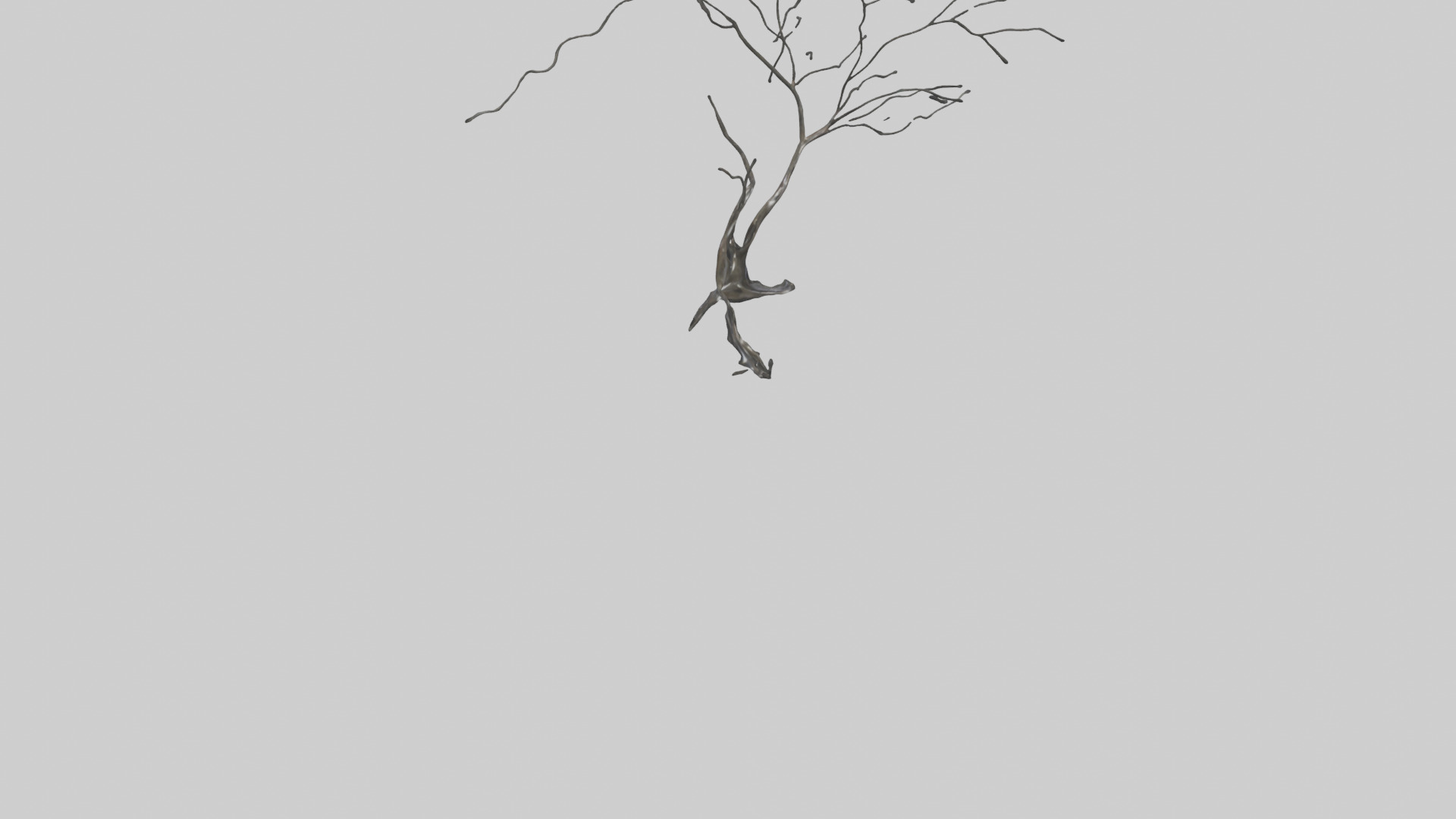 Fluid Branch Sculpture model Low-poly 3D model_6