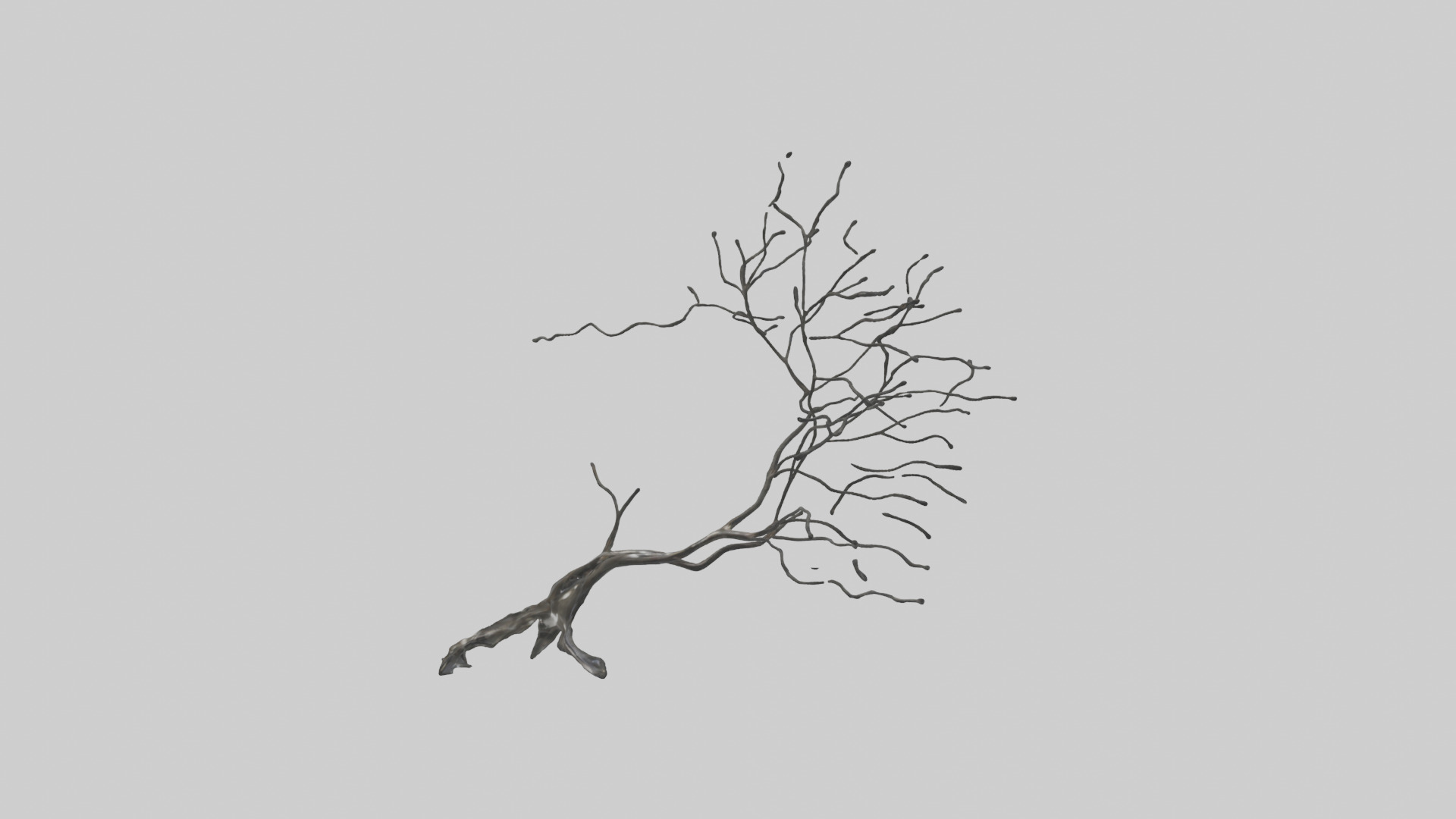 Fluid Branch Sculpture model Low-poly 3D model_8