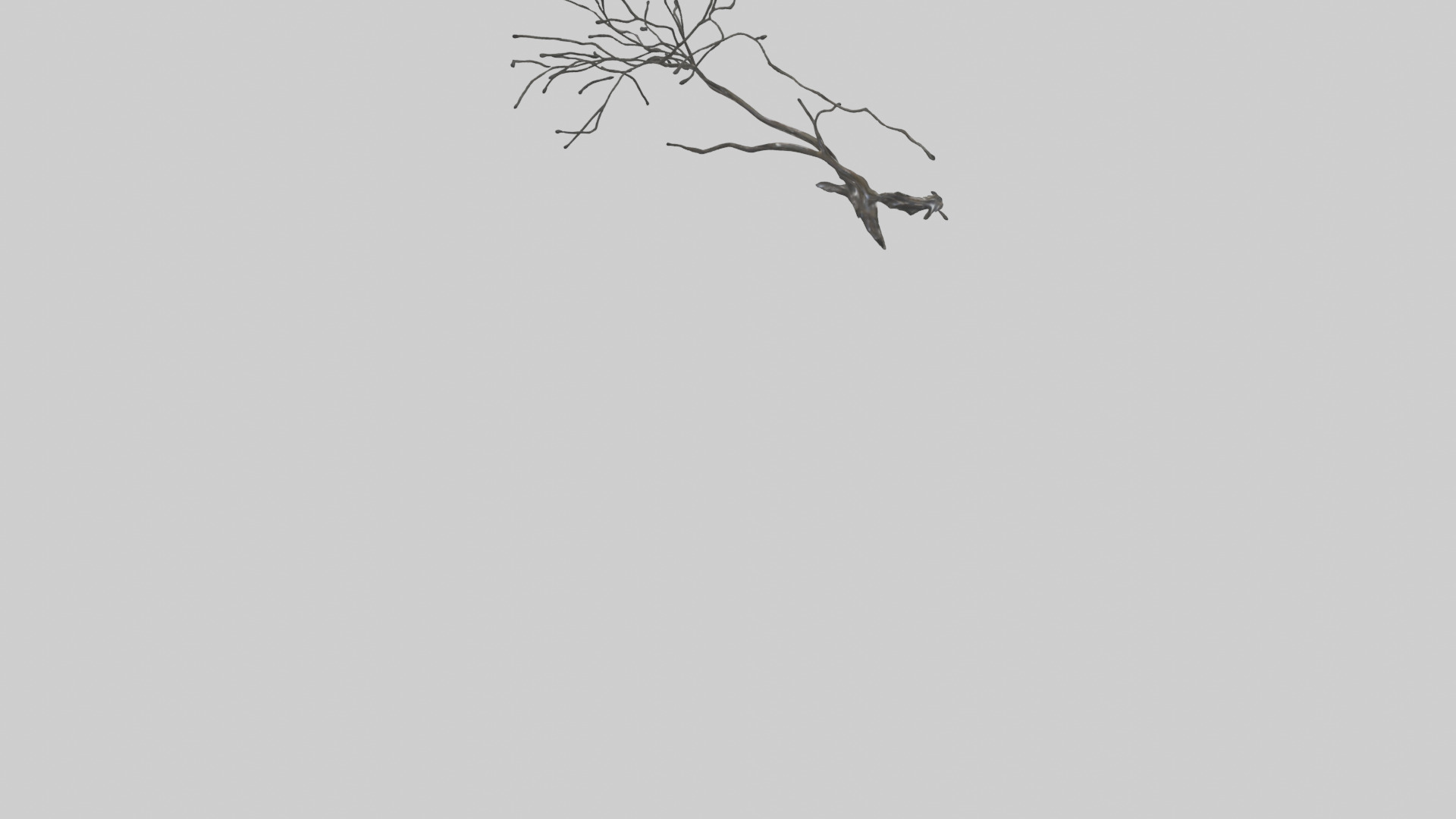 Fluid Branch Sculpture model Low-poly 3D model_4