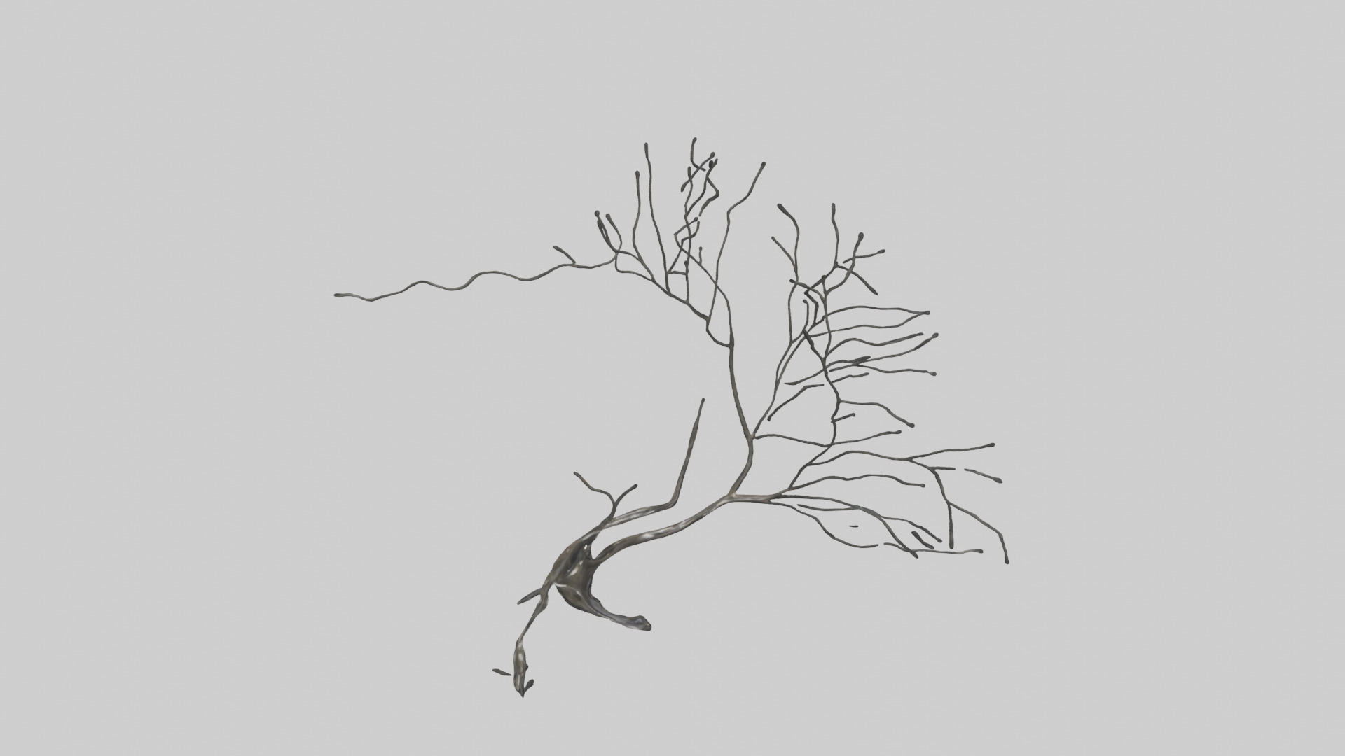Fluid Branch Sculpture model Low-poly 3D model_16