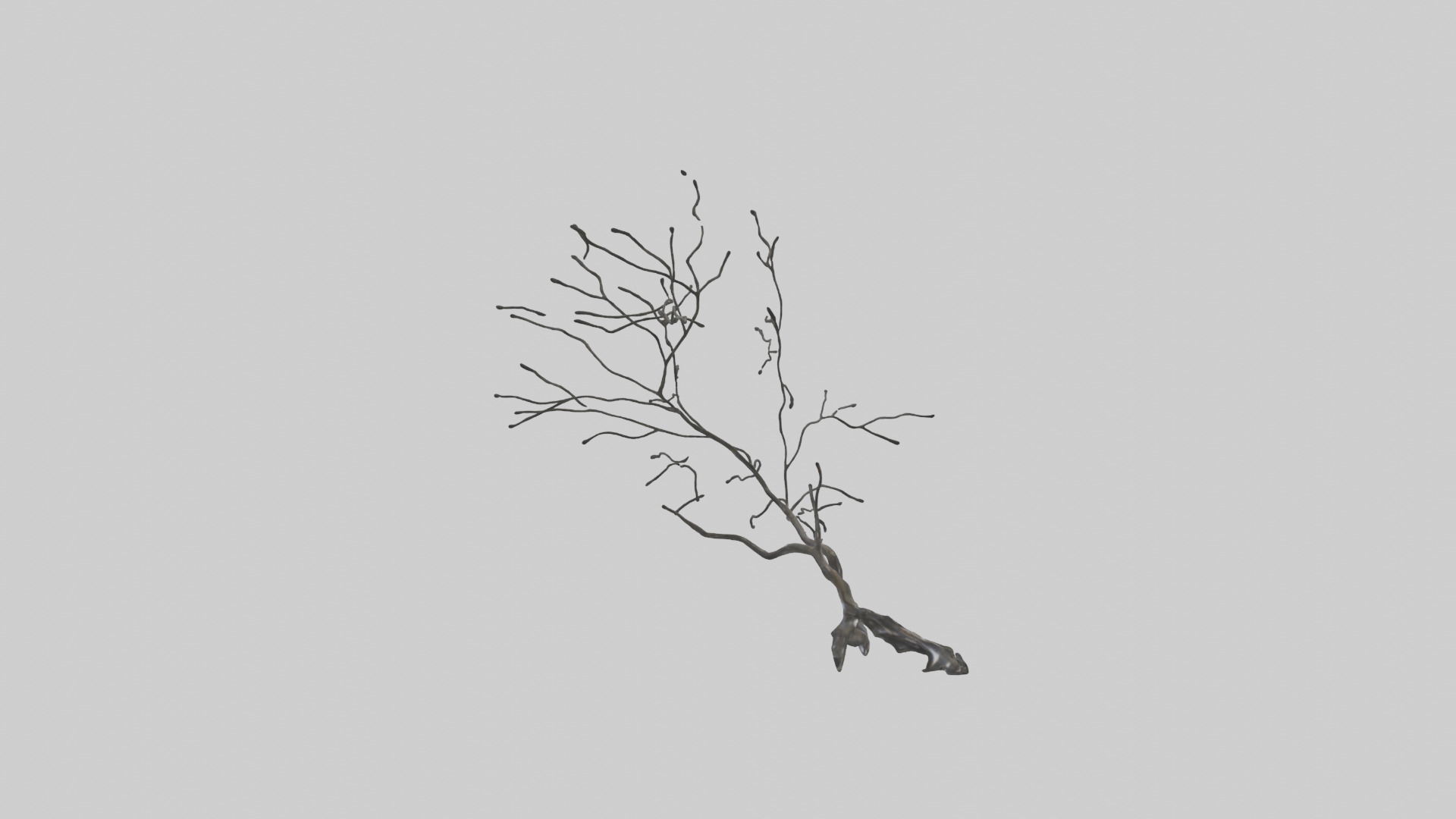 Fluid Branch Sculpture model Low-poly 3D model_13