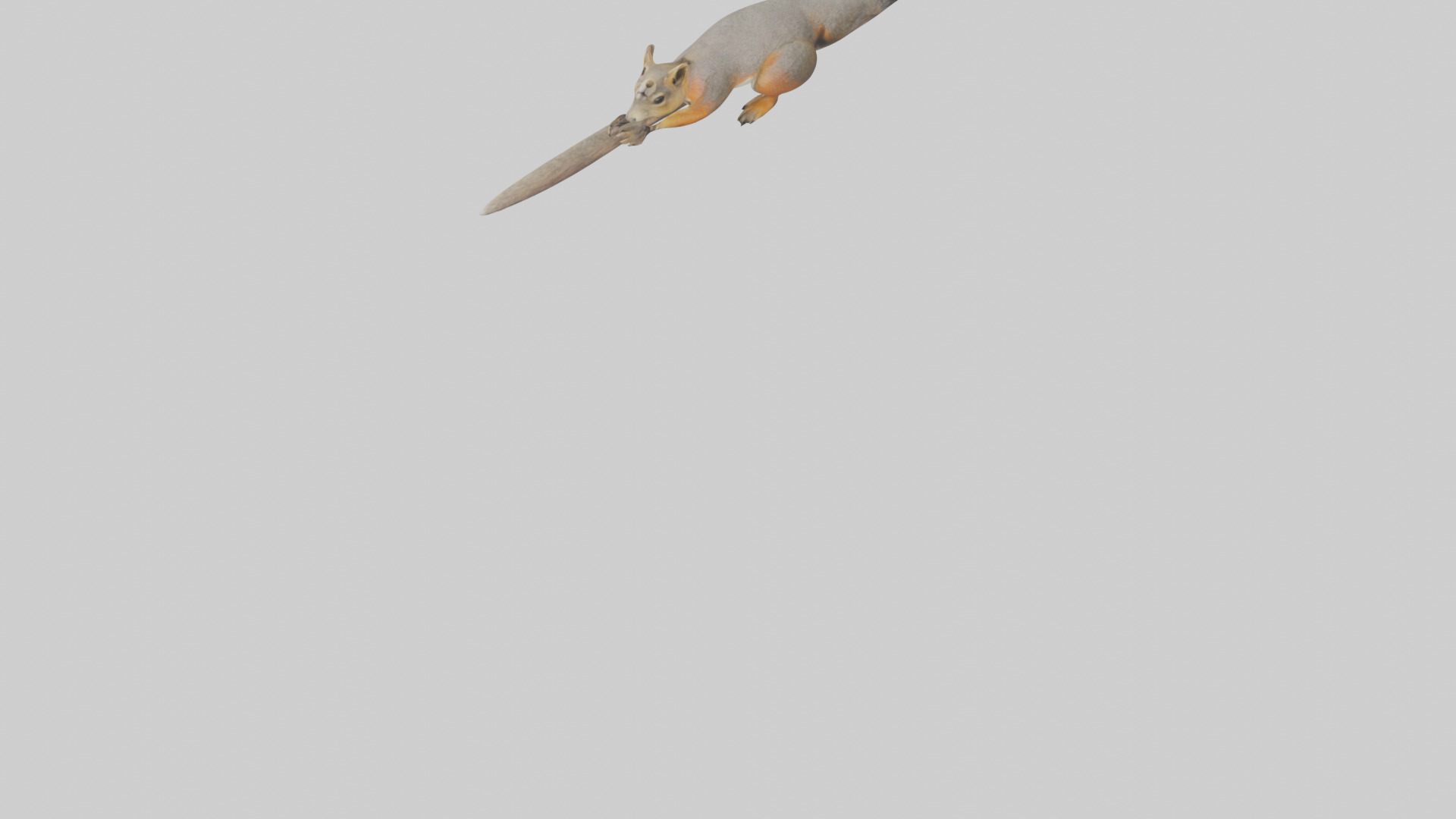 Fox Squirrel perched model Low-poly 3D model_5
