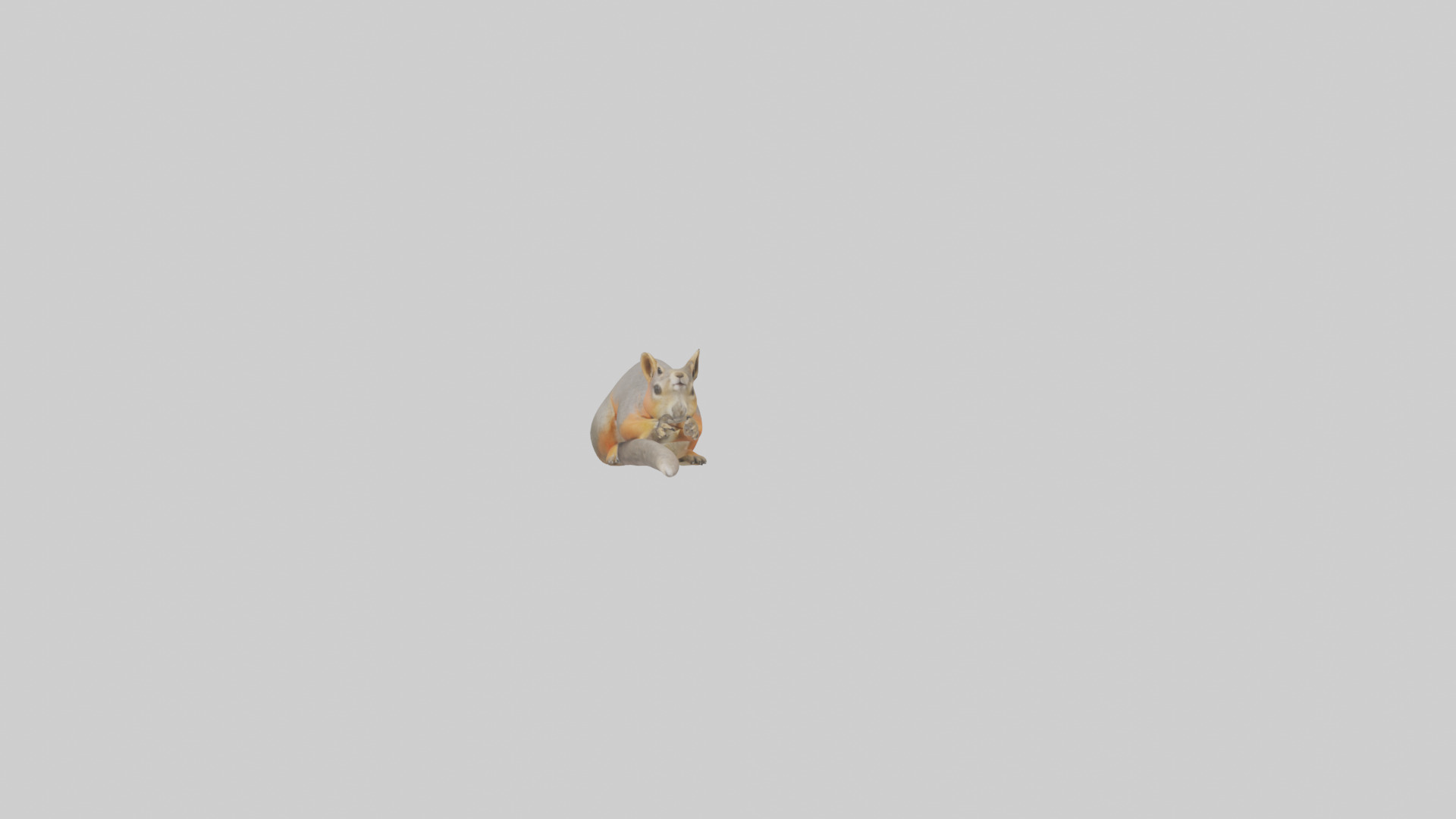 Fox Squirrel perched model Low-poly 3D model_18