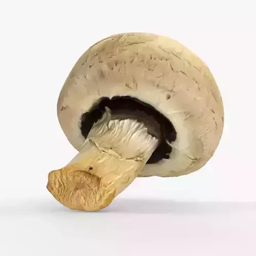Photorealistic 3D scan of Champignon mushroom
