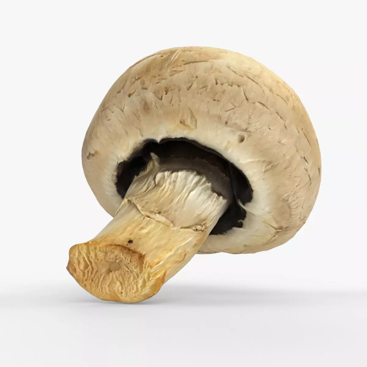 Photorealistic 3D scan of Champignon mushroom Low-poly 3D model_0
