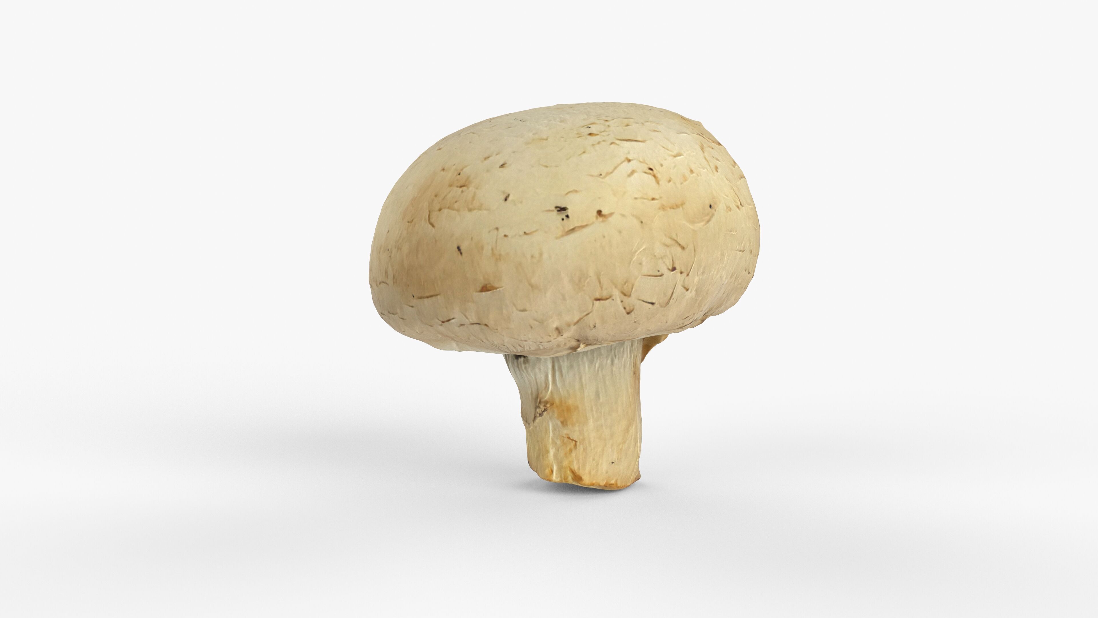 Photorealistic 3D scan of Champignon mushroom Low-poly 3D model_11