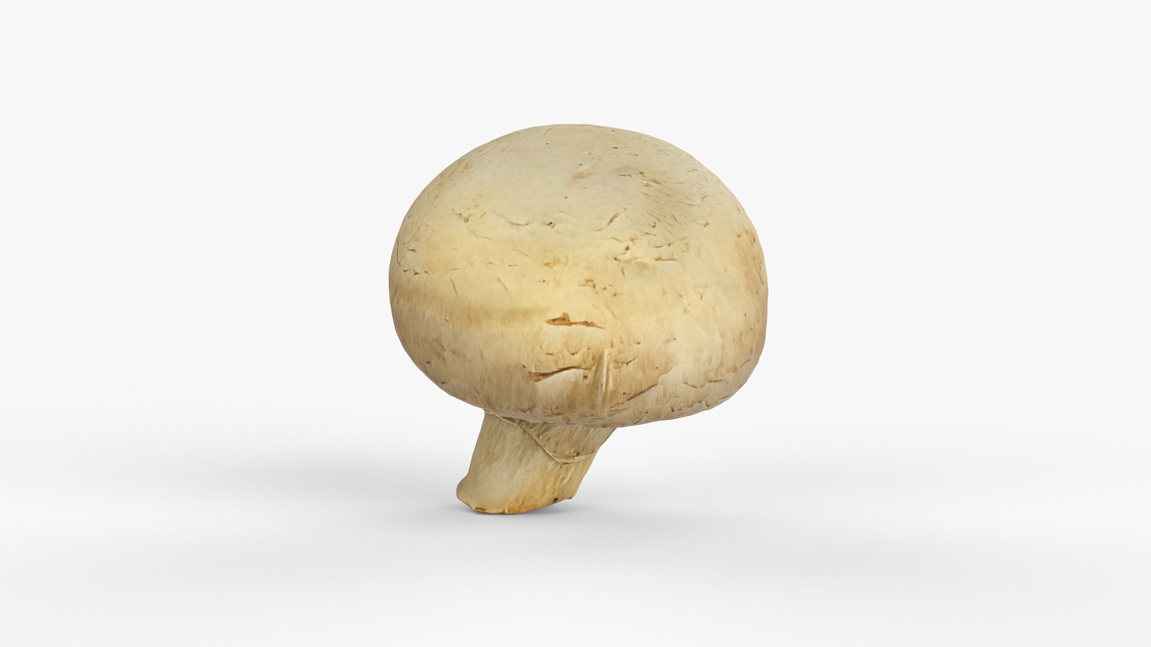 Photorealistic 3D scan of Champignon mushroom Low-poly 3D model_8