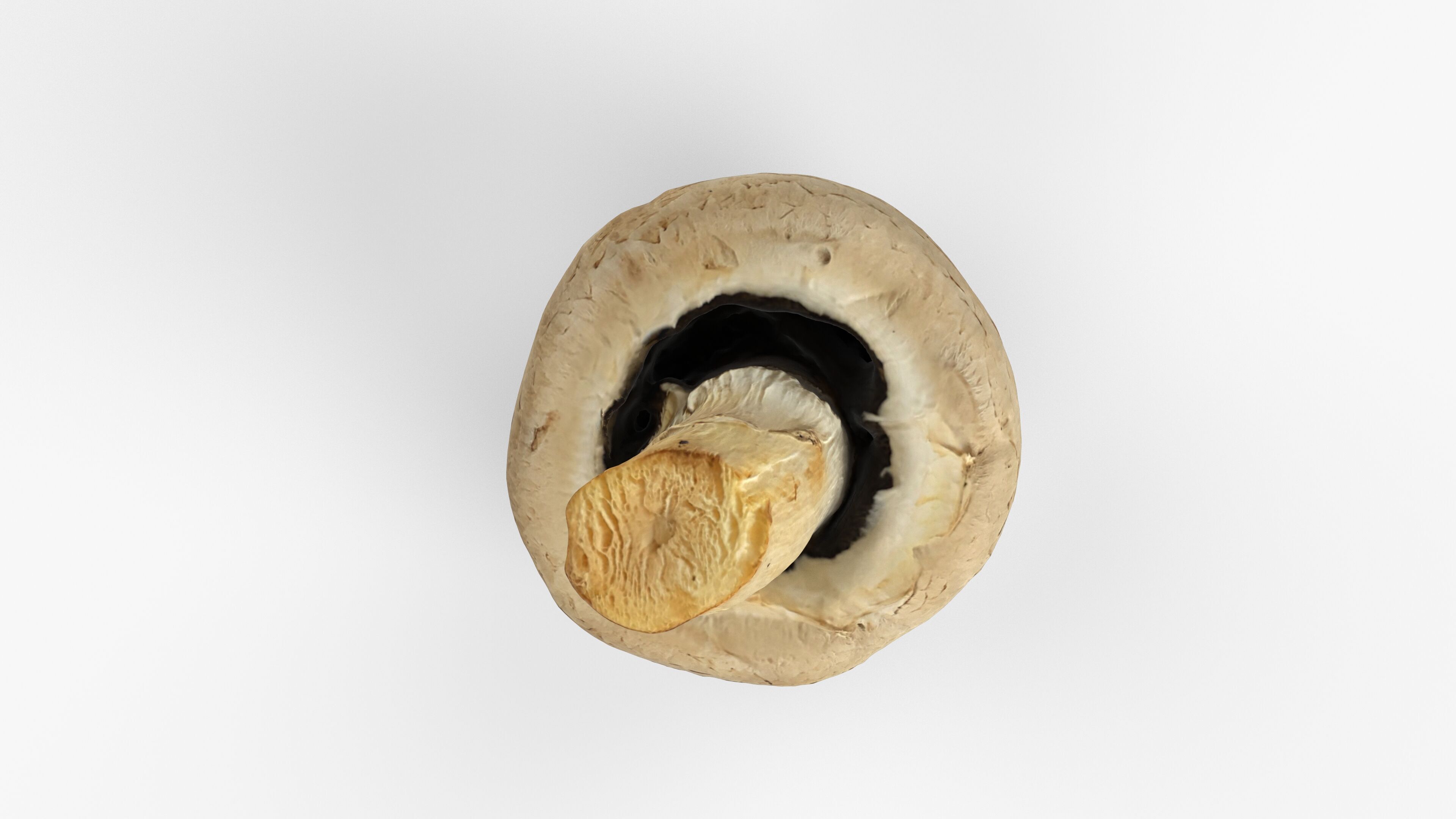 Photorealistic 3D scan of Champignon mushroom Low-poly 3D model_15