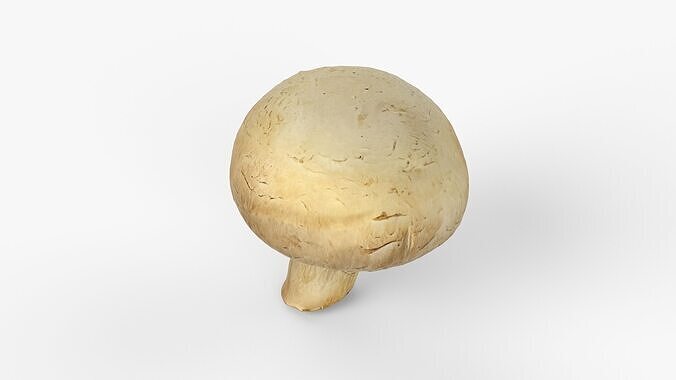 Photorealistic 3D scan of Champignon mushroom Low-poly 3D model 2