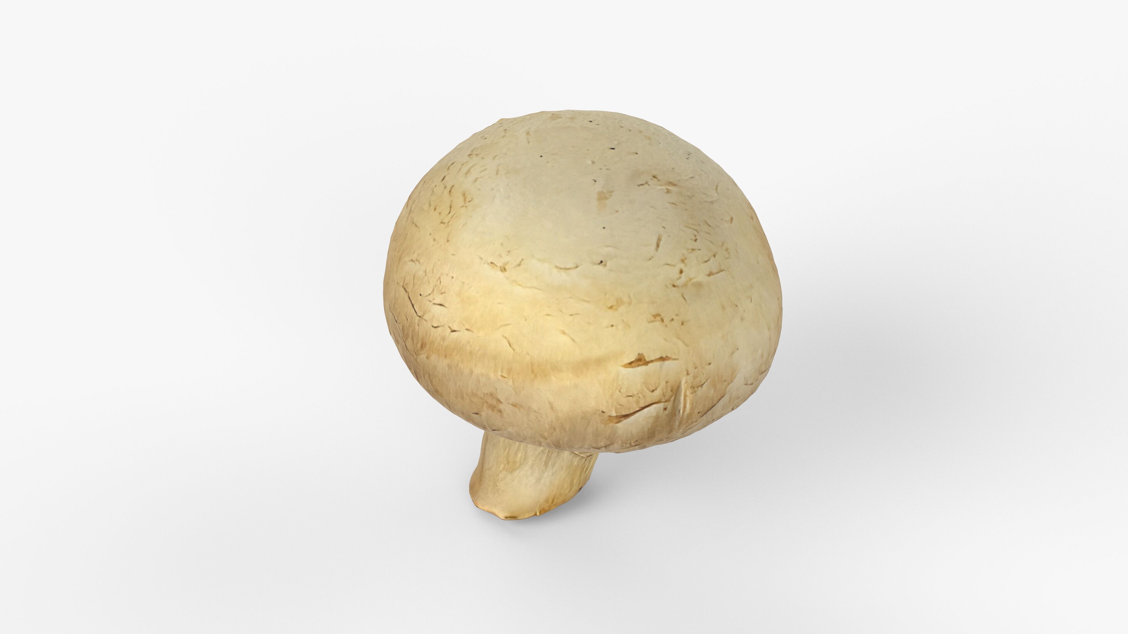 Photorealistic 3D scan of Champignon mushroom Low-poly 3D model_2