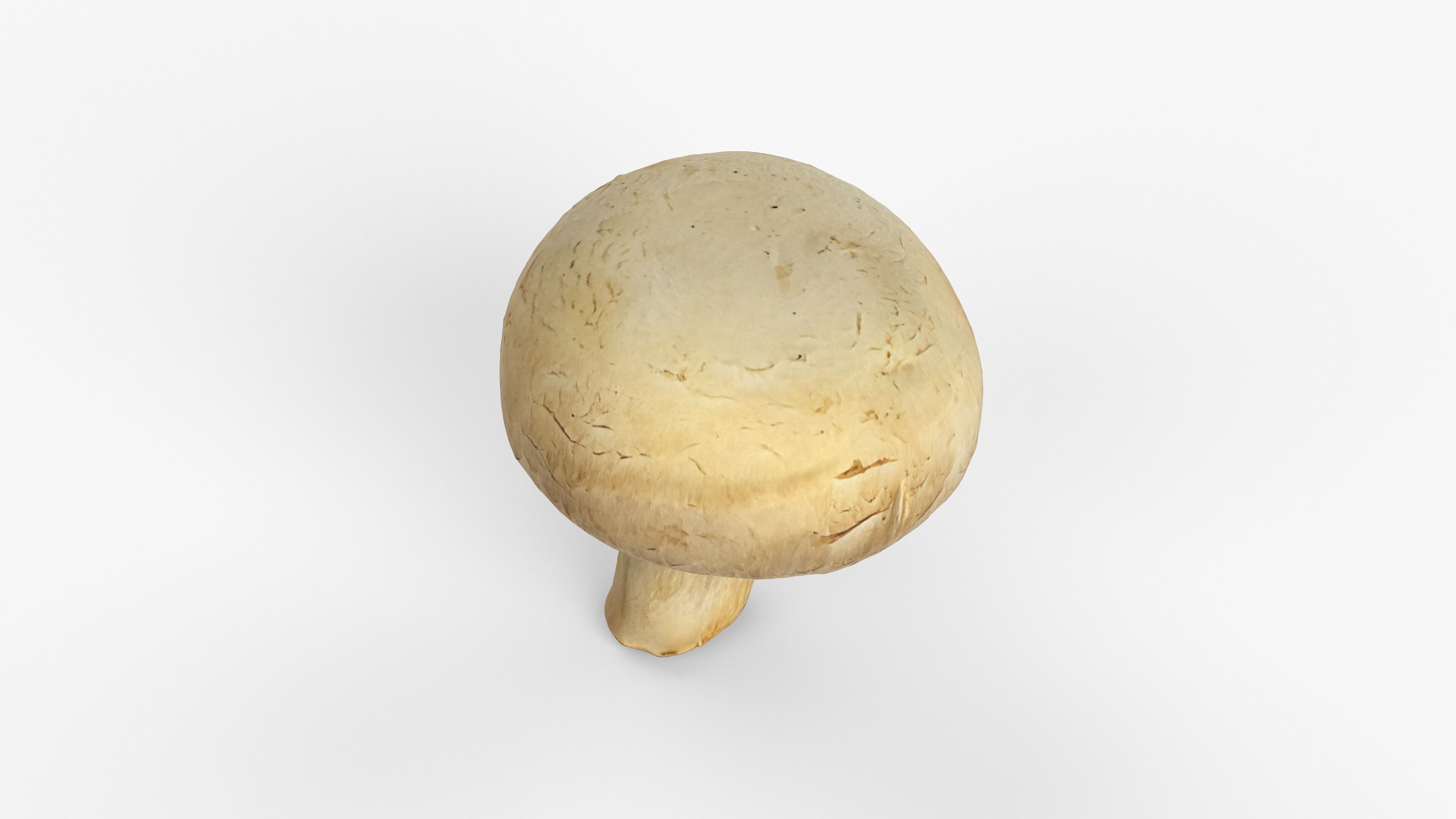 Photorealistic 3D scan of Champignon mushroom Low-poly 3D model_10