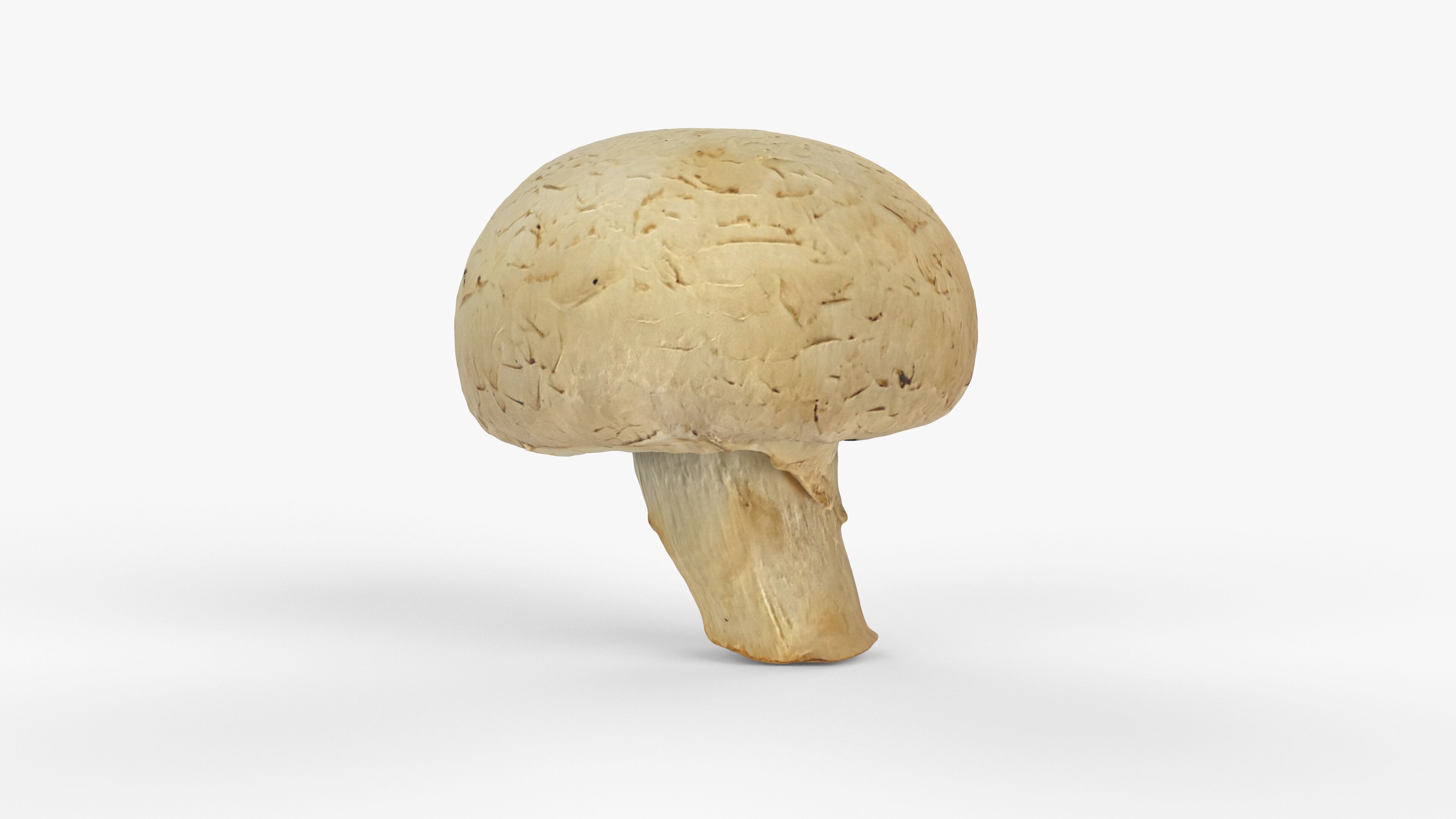 Photorealistic 3D scan of Champignon mushroom Low-poly 3D model_7
