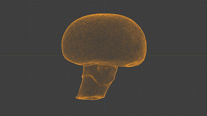 Photorealistic 3D scan of Champignon mushroom Low-poly 3D model 5