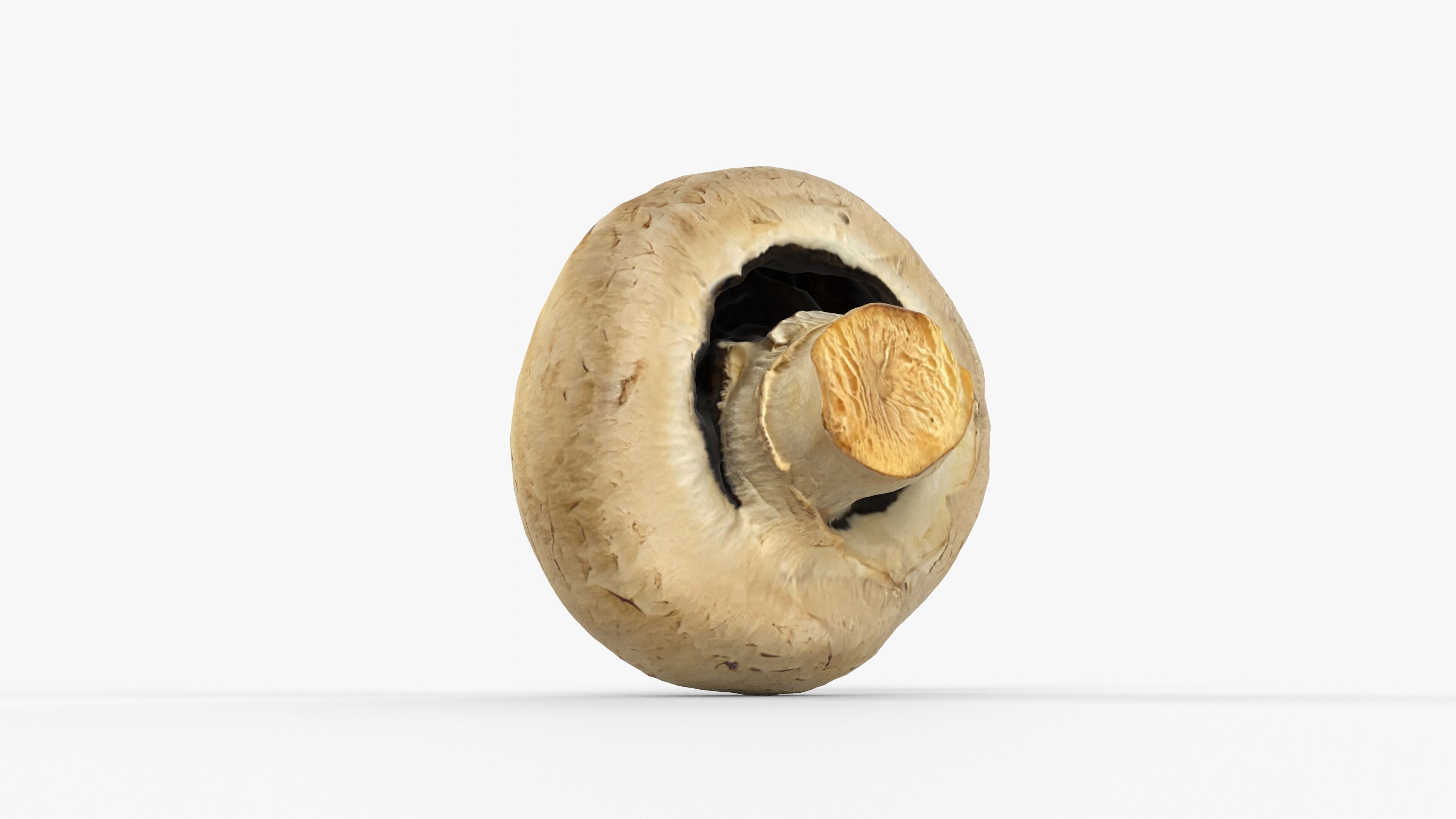 Photorealistic 3D scan of Champignon mushroom Low-poly 3D model_12