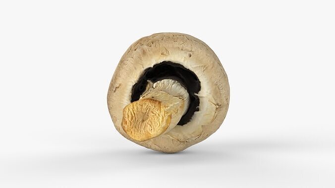 Photorealistic 3D scan of Champignon mushroom Low-poly 3D model 6
