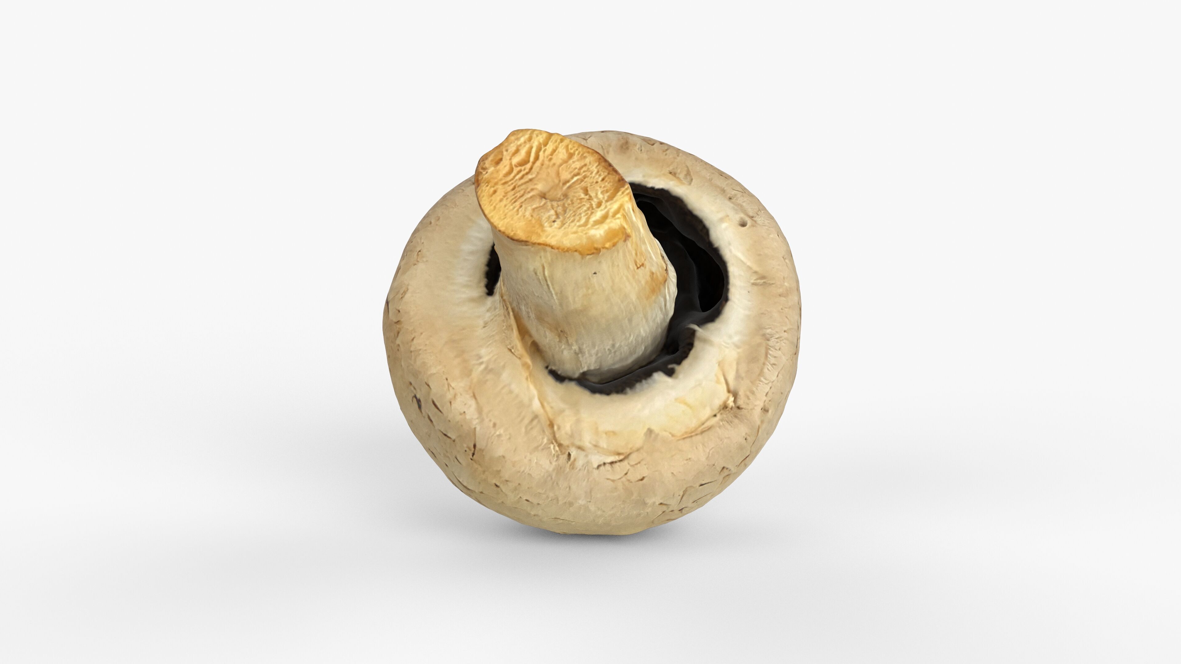 Photorealistic 3D scan of Champignon mushroom Low-poly 3D model_9